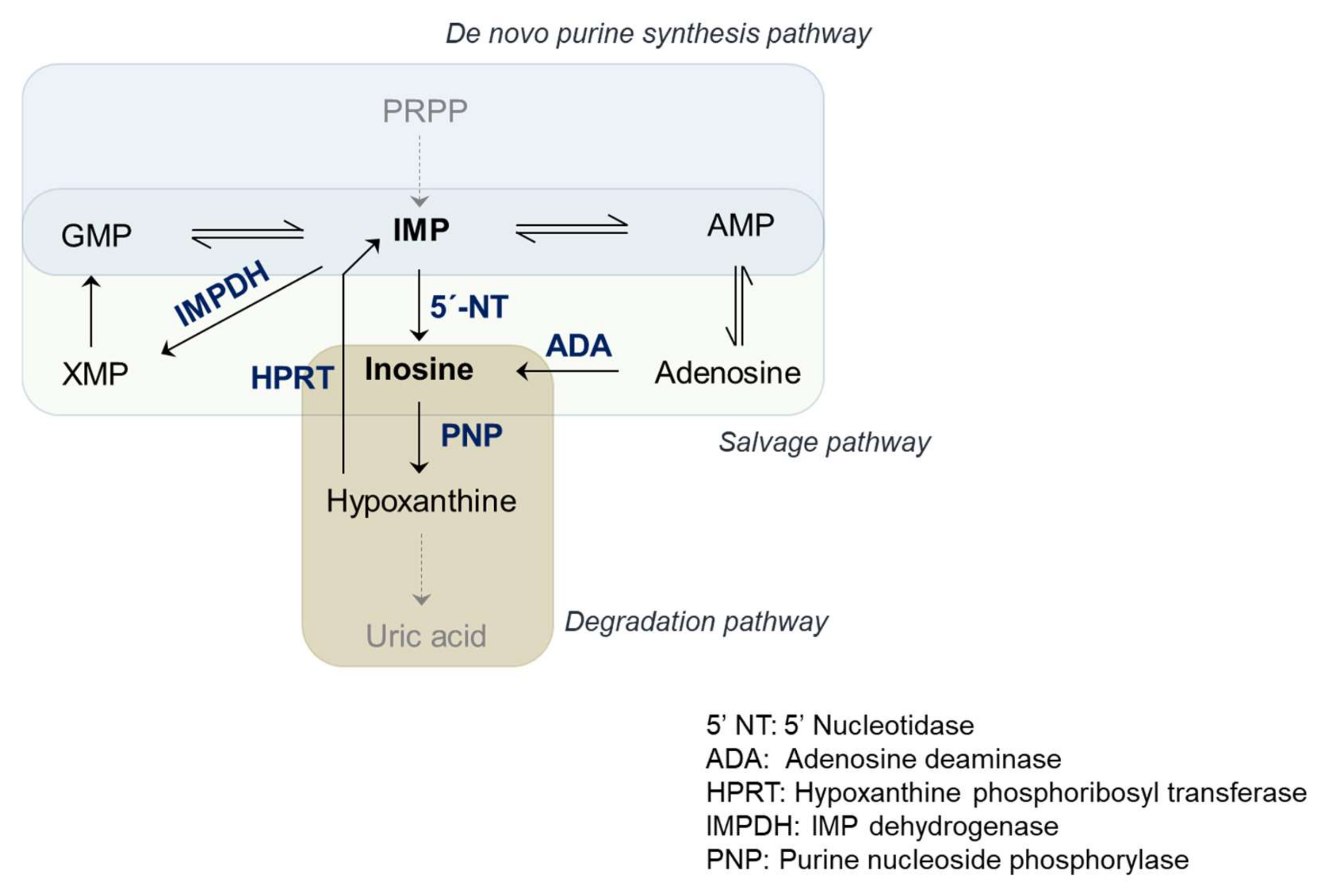 Genes 12 00600 g002