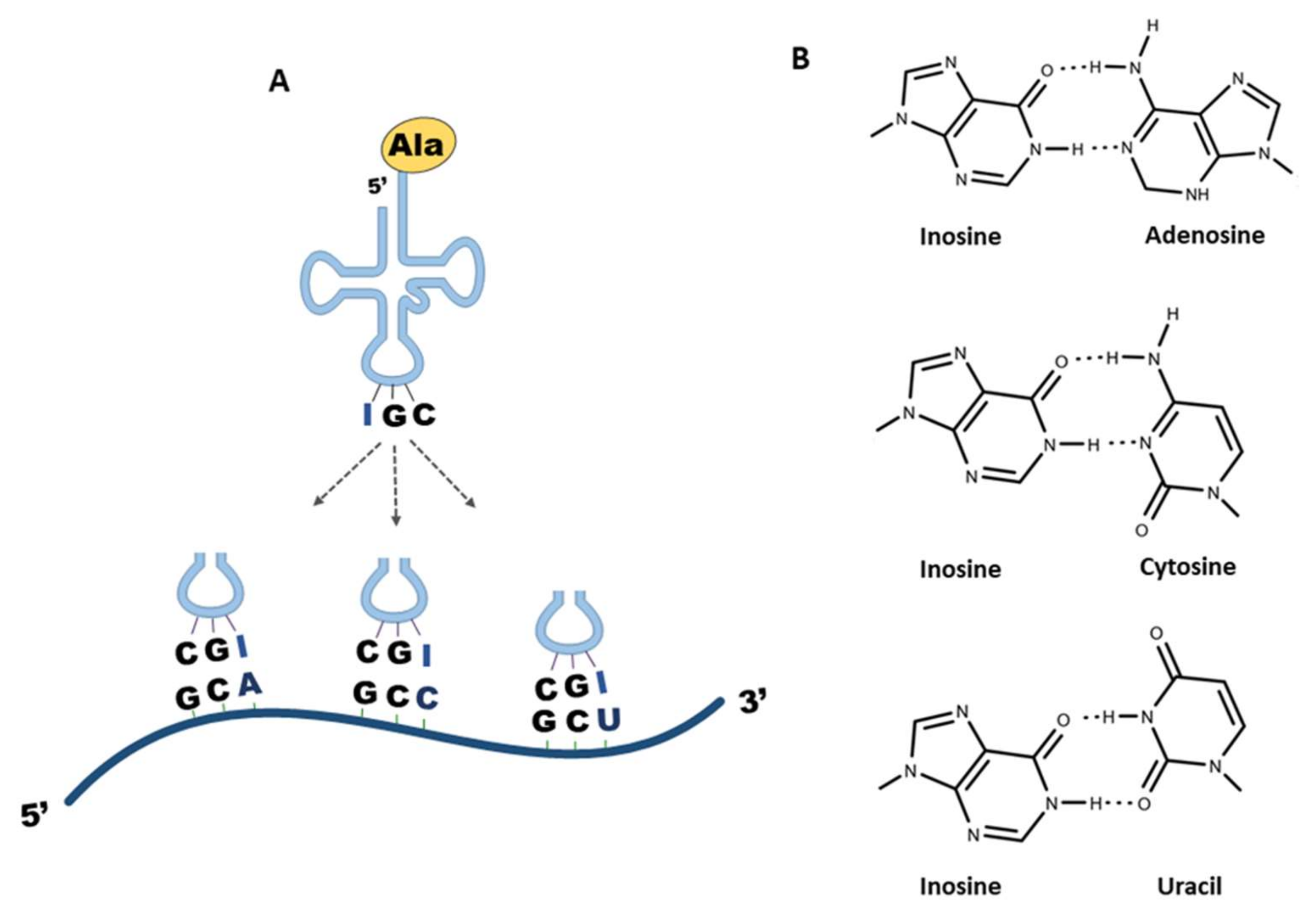 Genes 12 00600 g003