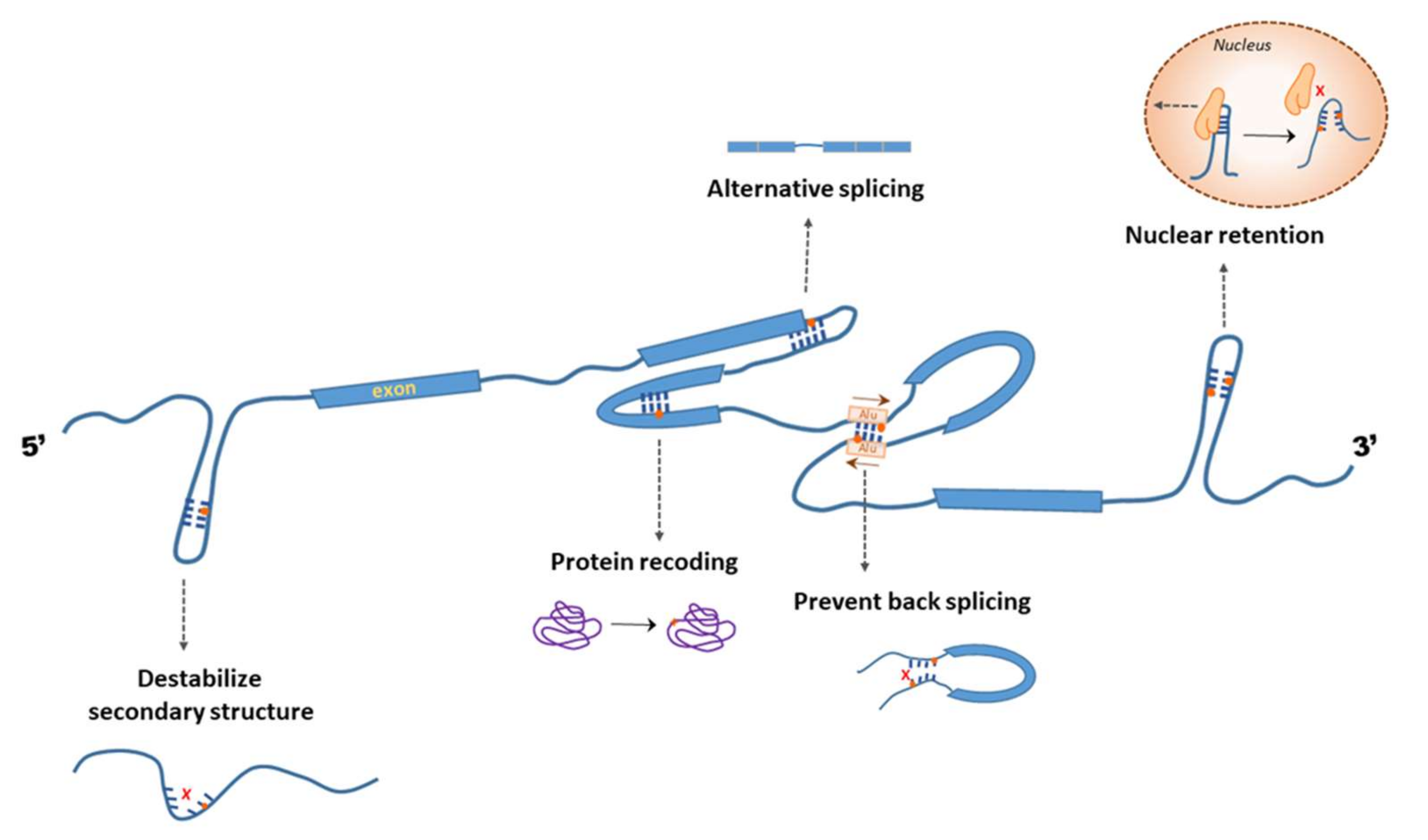 Genes 12 00600 g006