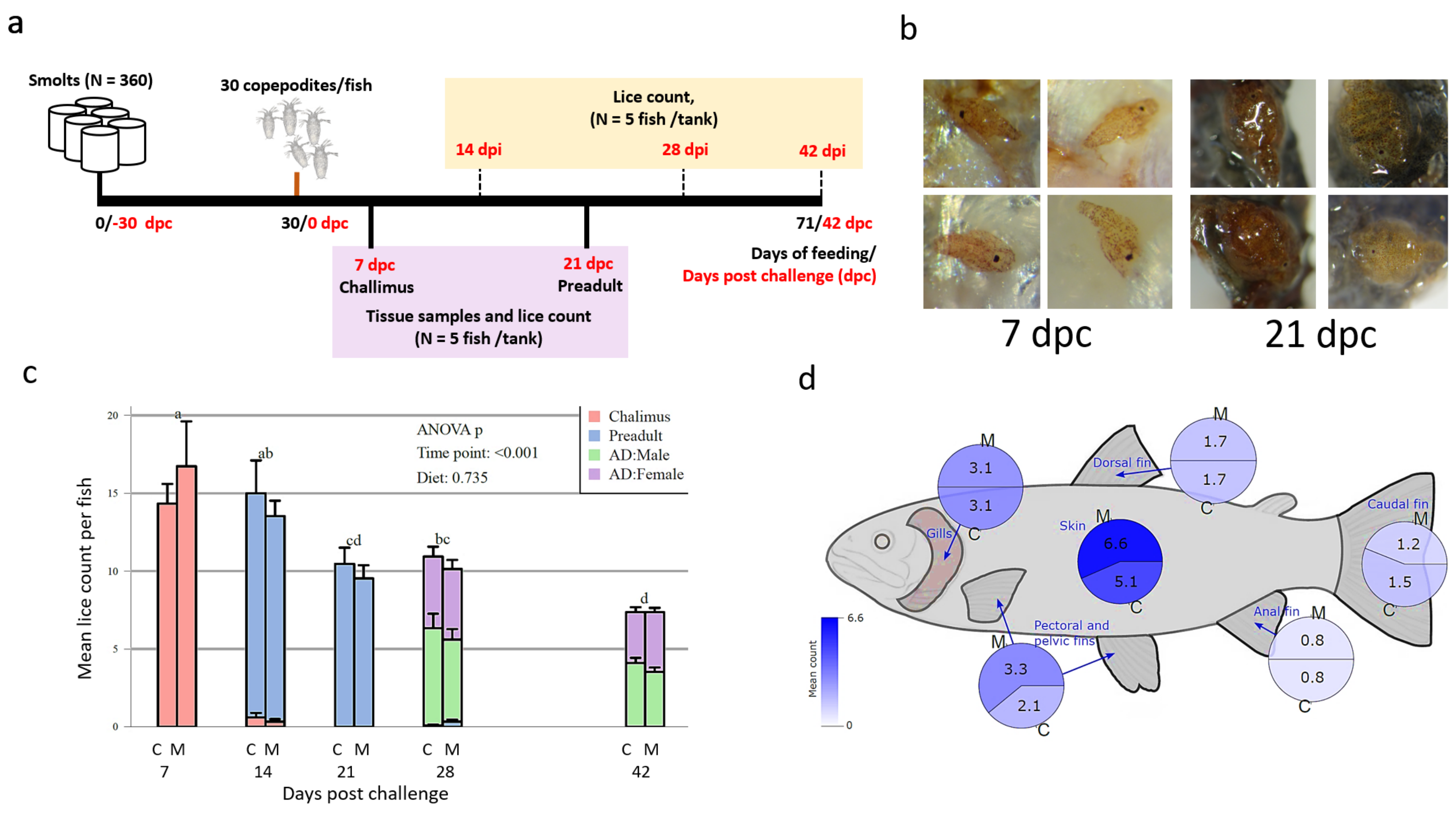 Genes 12 00602 g001 Genes 12 00602 g001