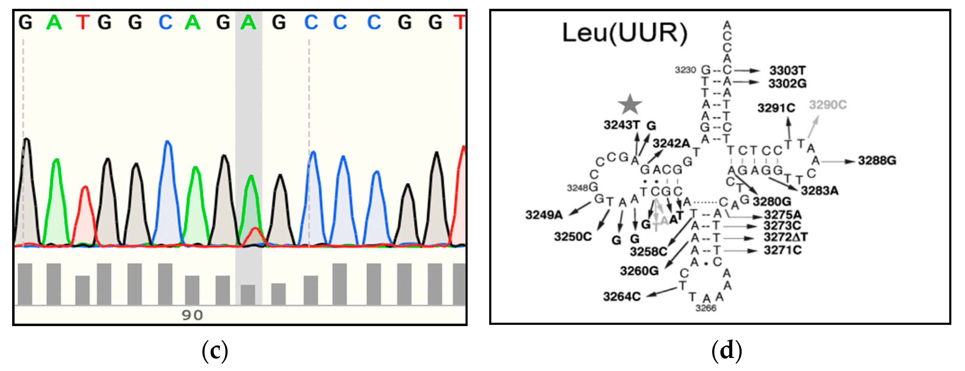 Genes 12 00607 g001b