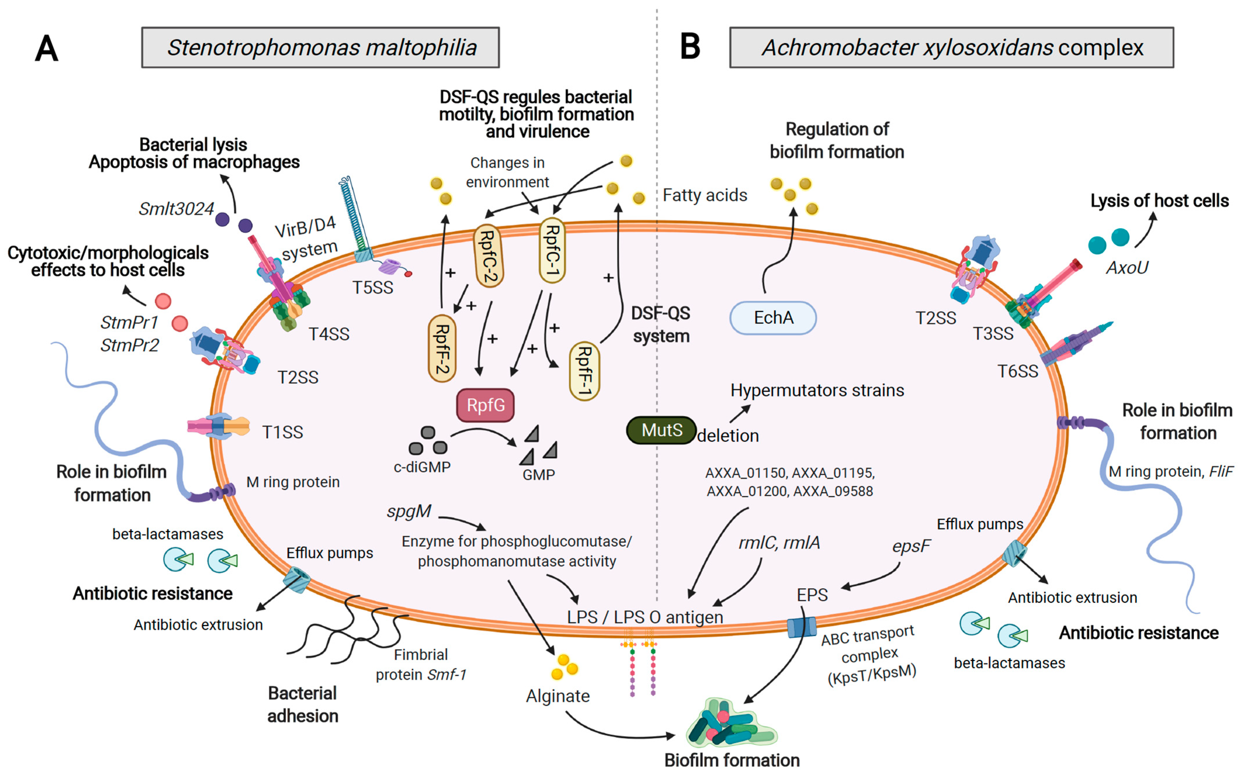 Genes 12 00610 g001