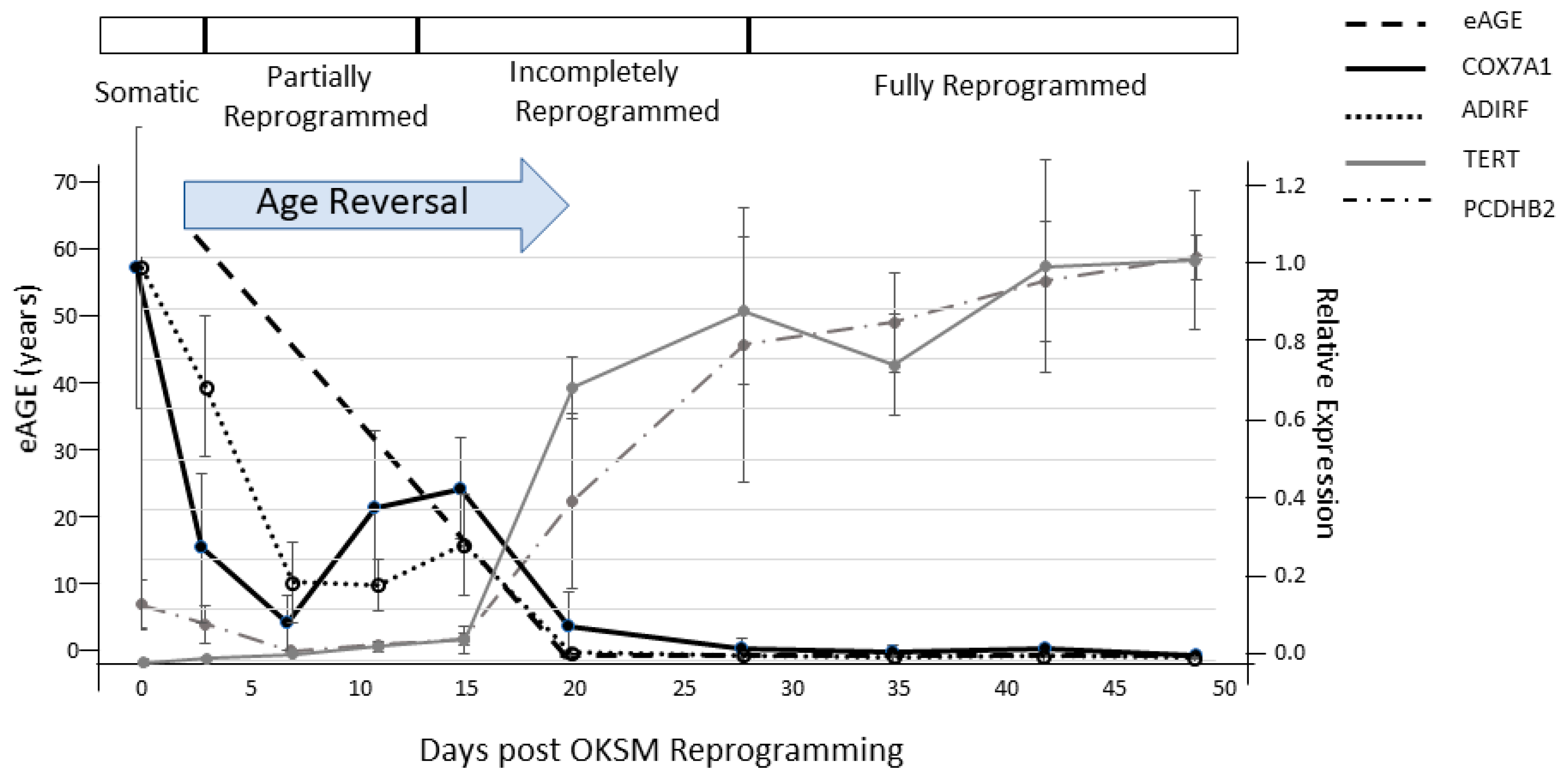 Genes 12 00611 g004