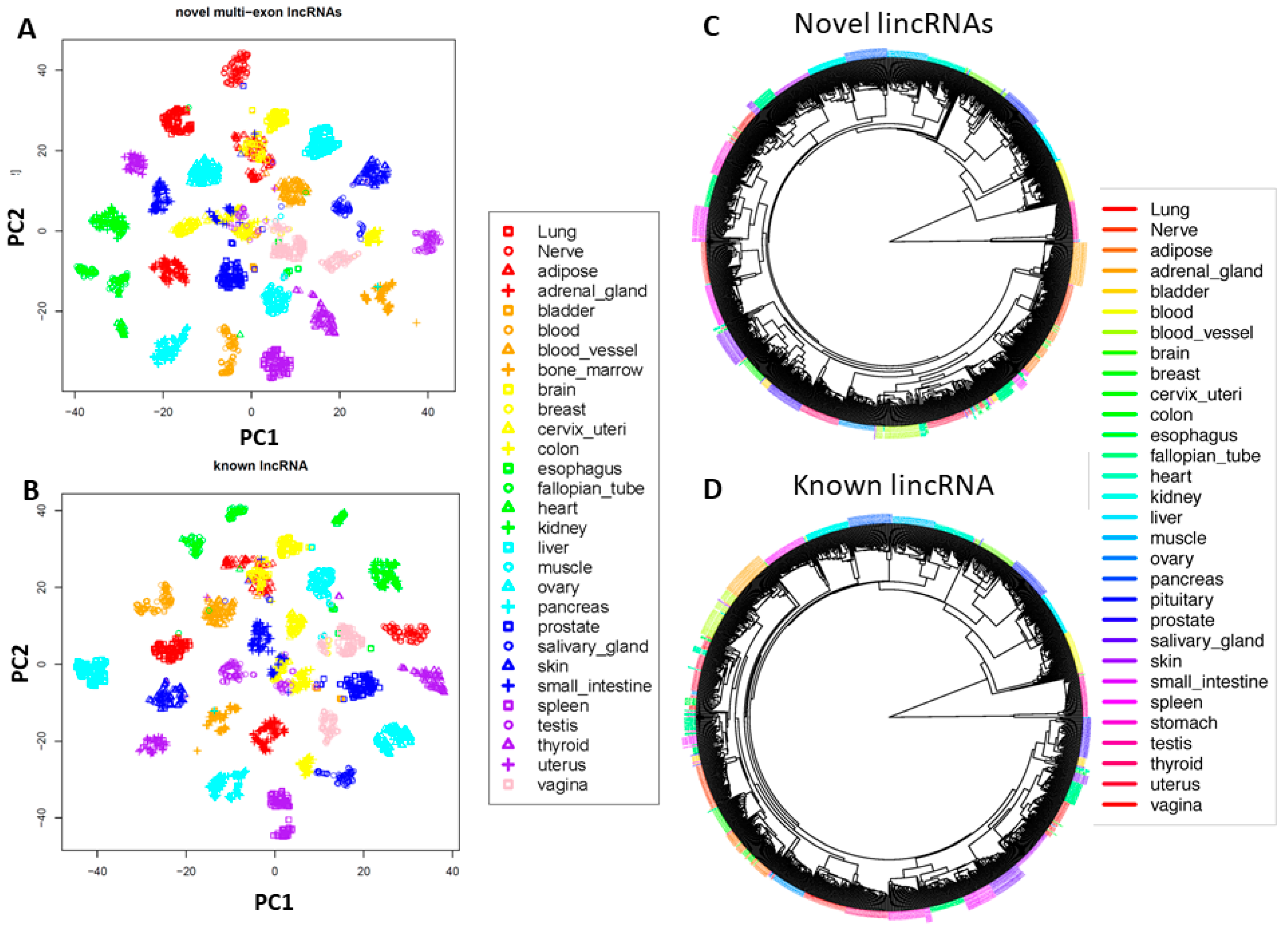 Genes 12 00614 g003 Genes 12 00614 g003