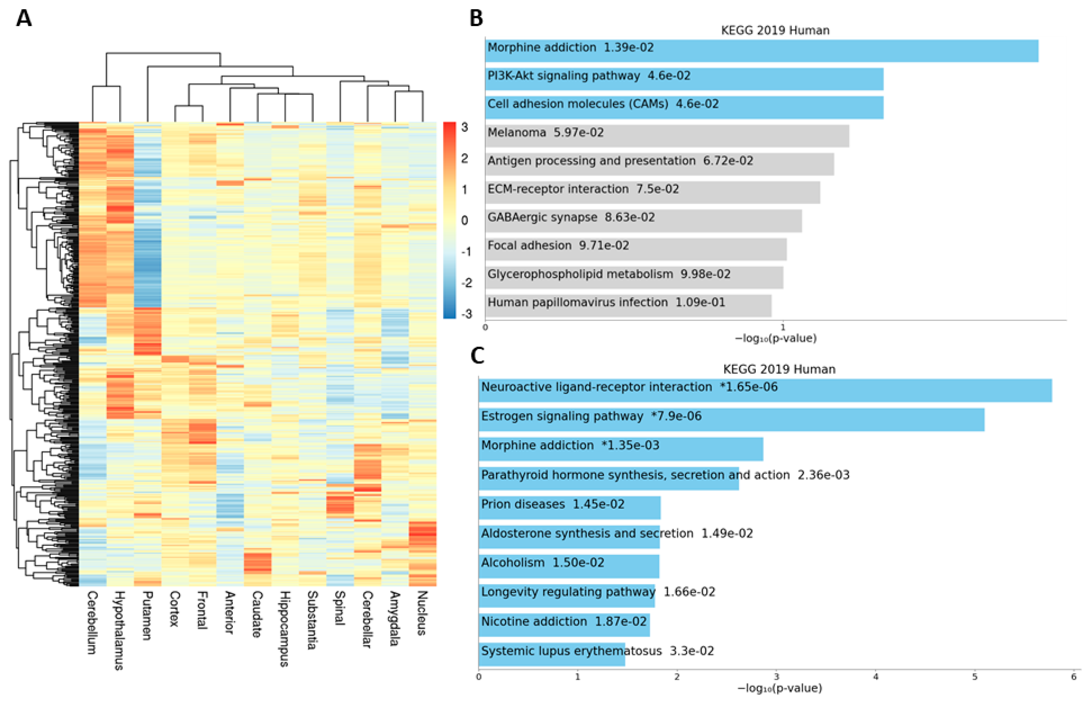 Genes 12 00614 g006 Genes 12 00614 g006
