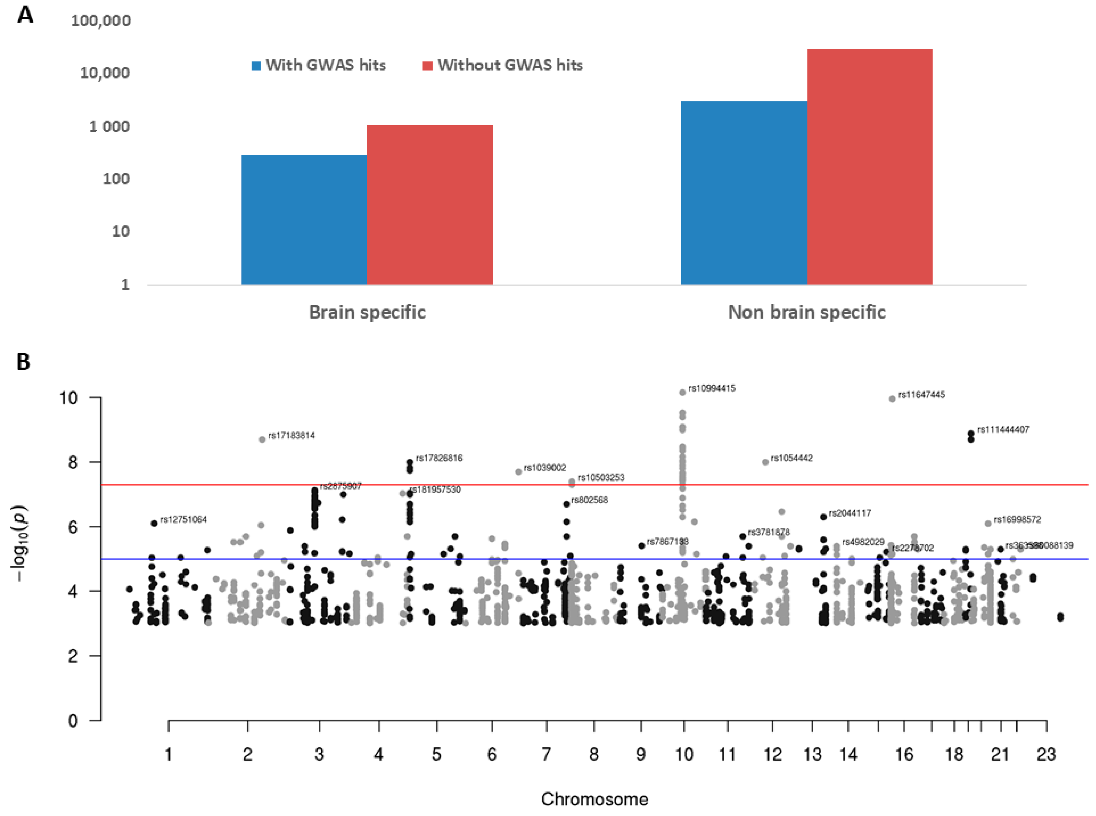 Genes 12 00614 g007 Genes 12 00614 g007