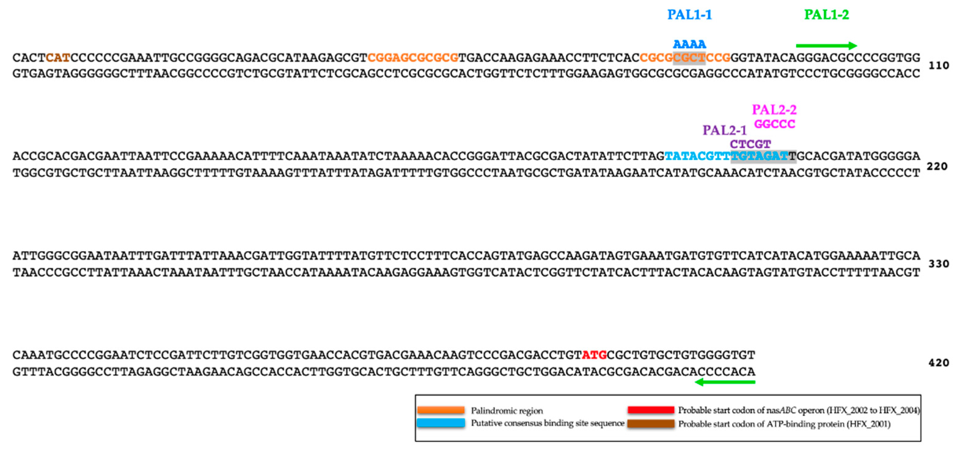 Genes 12 00619 g002 Genes 12 00619 g002