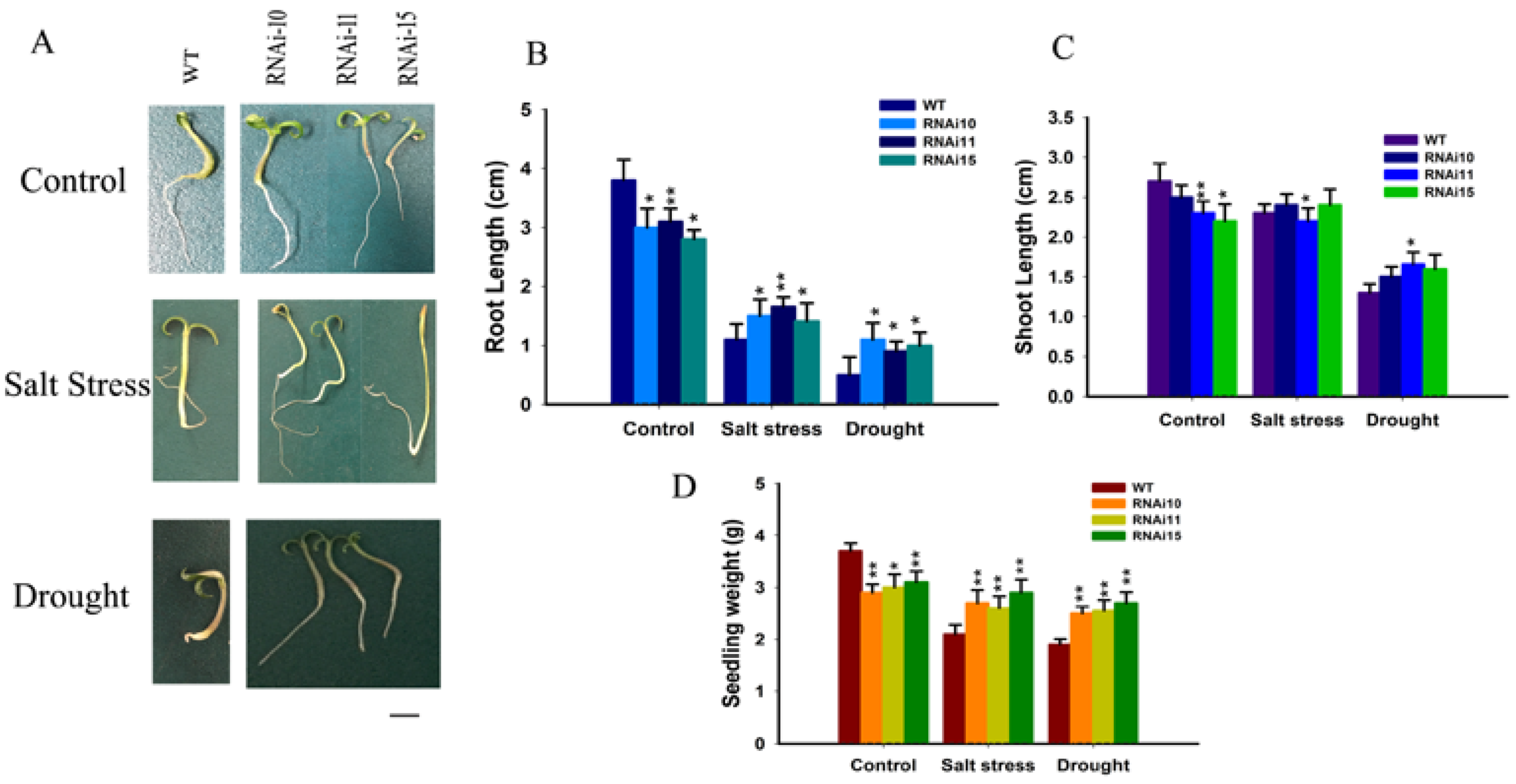 Genes 12 00623 g005