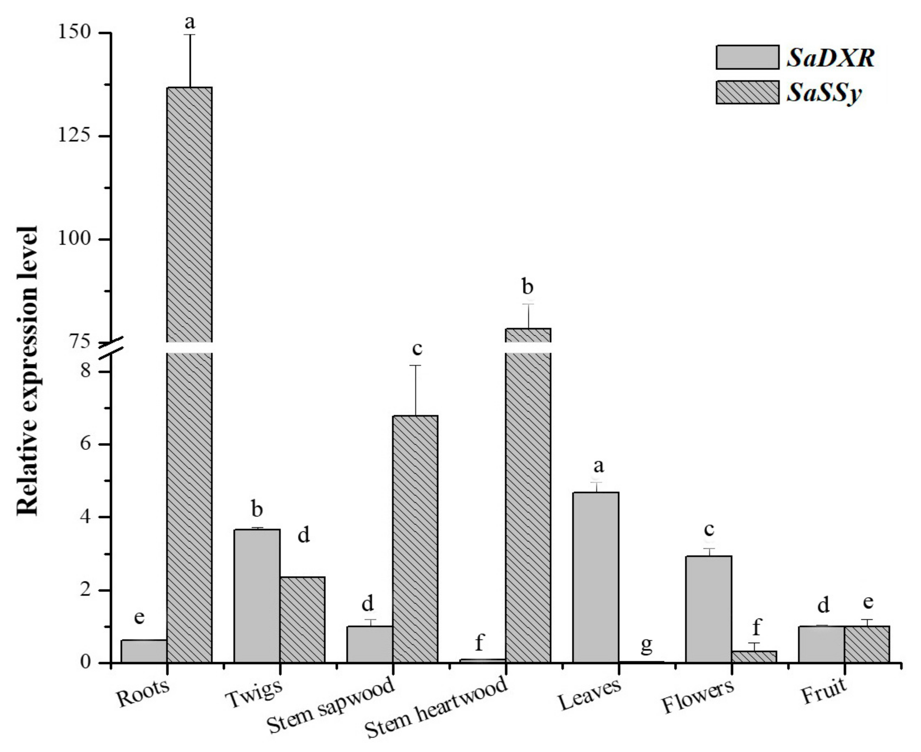 Genes 12 00626 g006