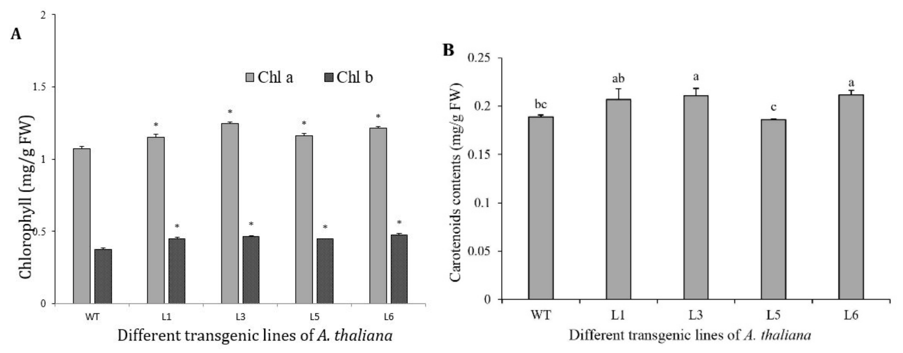 Genes 12 00626 g009