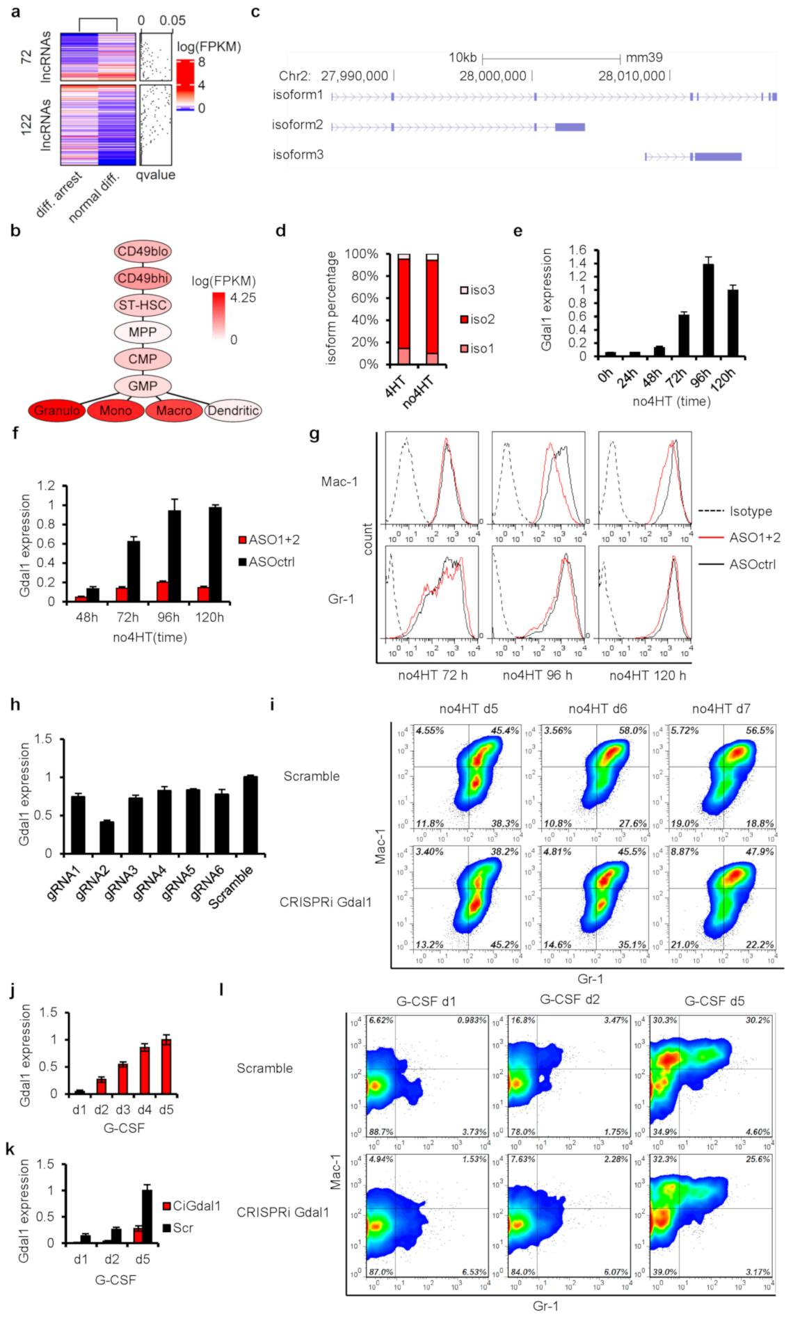 Genes 12 00630 g002 Genes 12 00630 g002