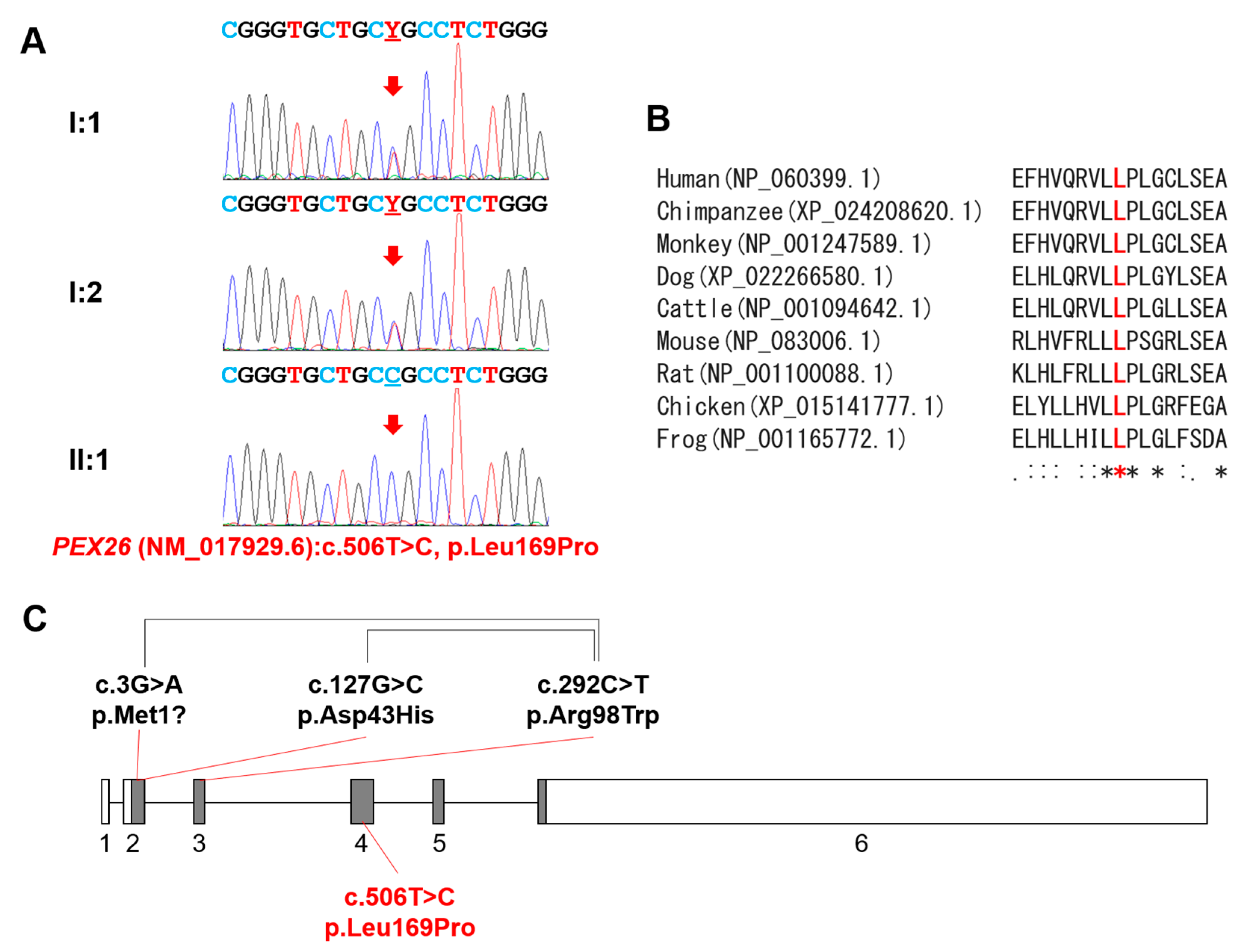 Genes 12 00646 g002
