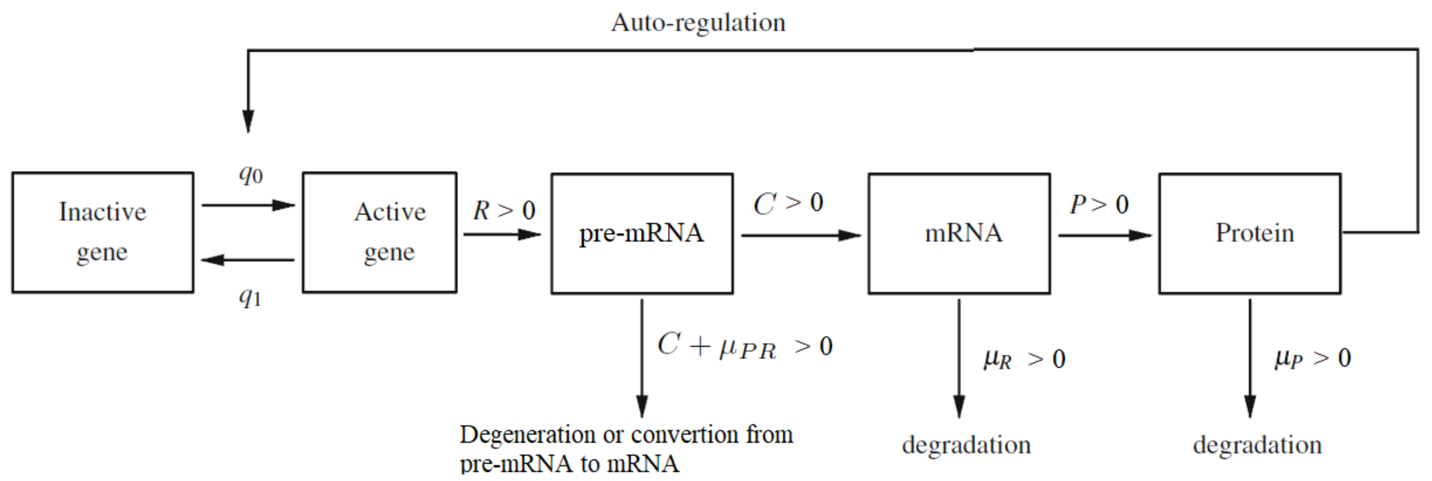 Genes 12 00648 g001
