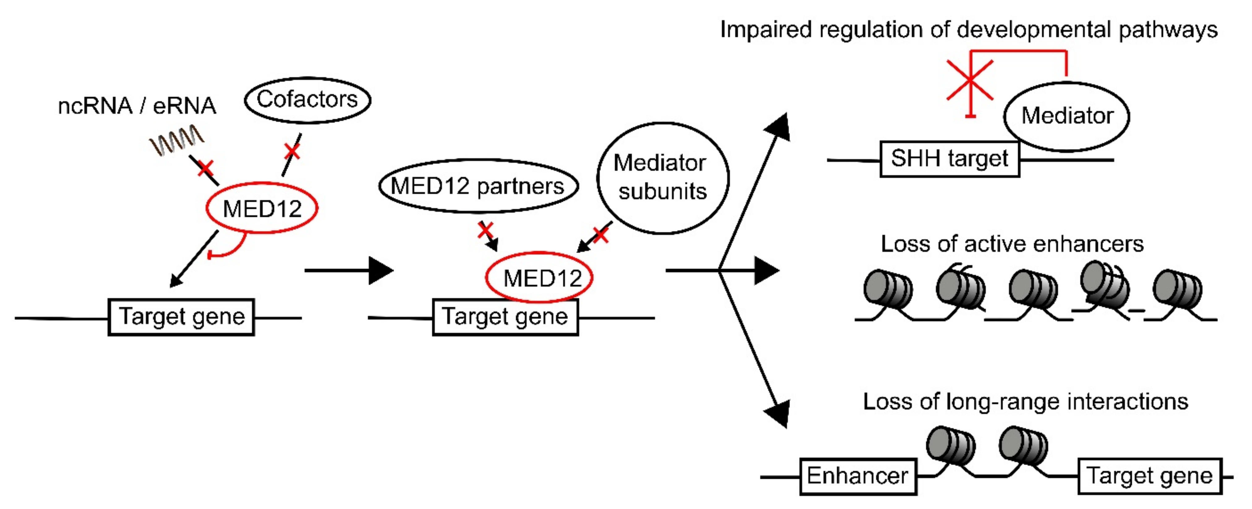 Genes 12 00663 g004 Genes 12 00663 g004