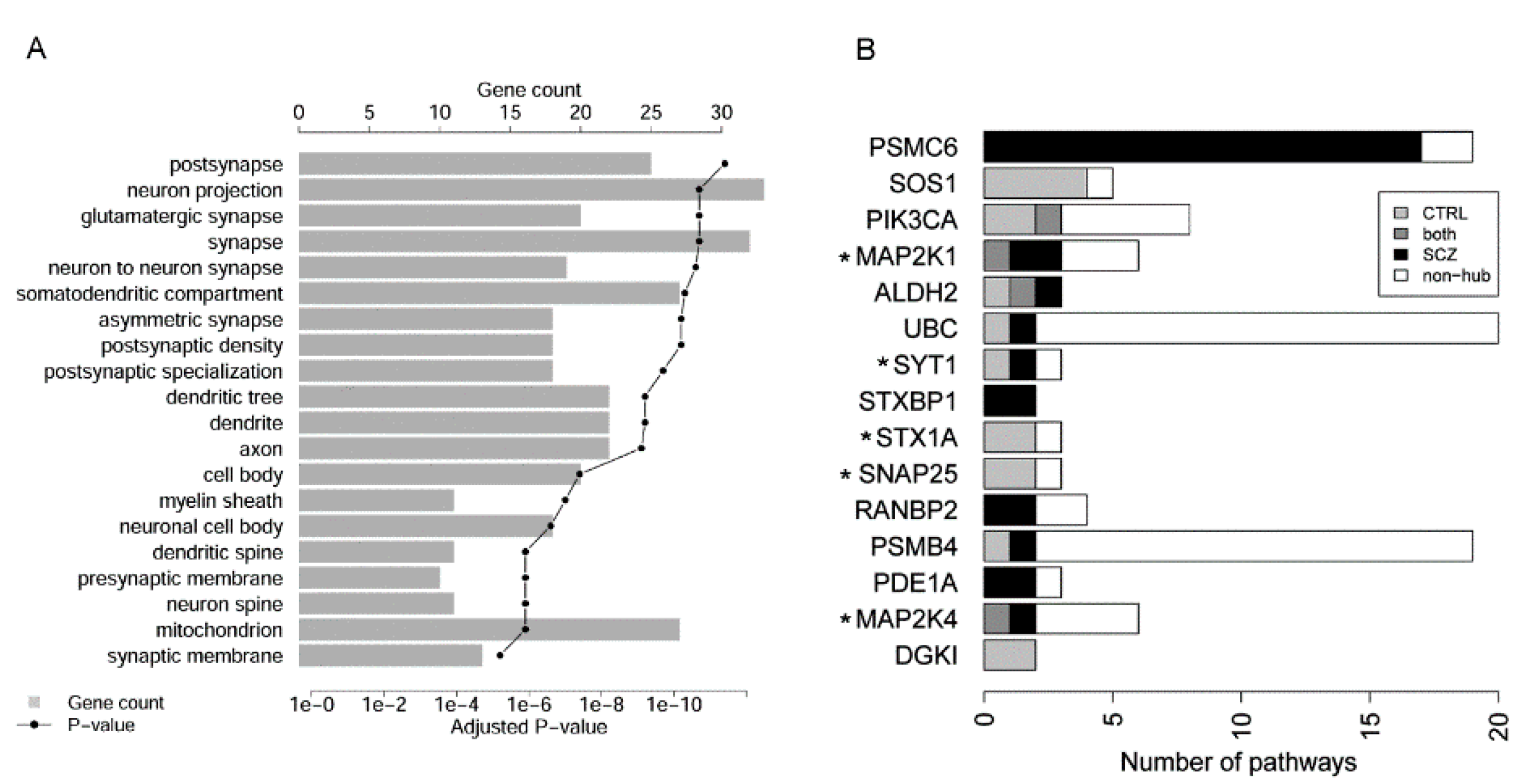 Genes 12 00665 g003