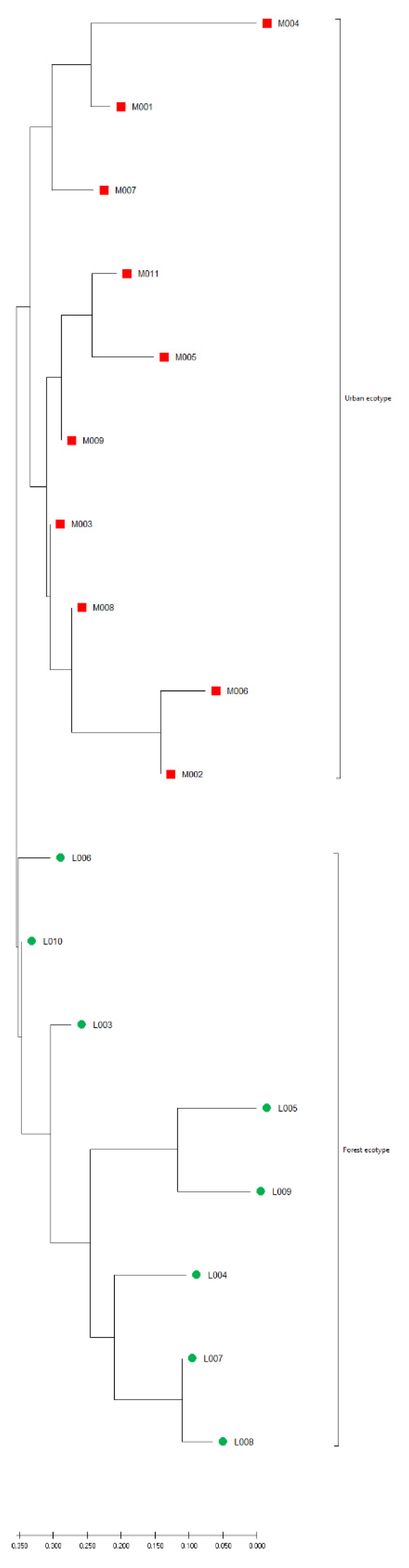 Genes 12 00666 g007 Genes 12 00666 g007