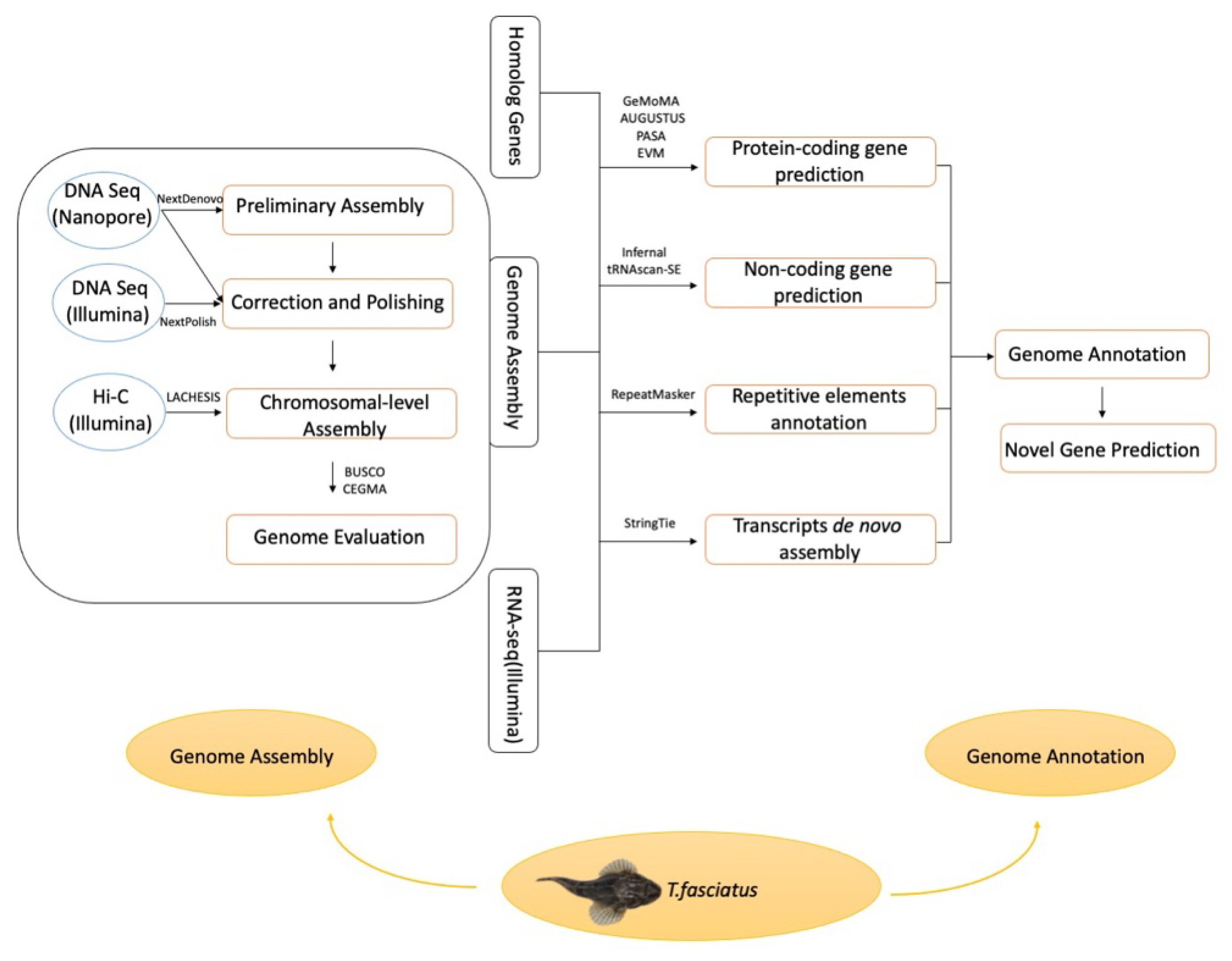 Genes 12 00692 g001 Genes 12 00692 g001
