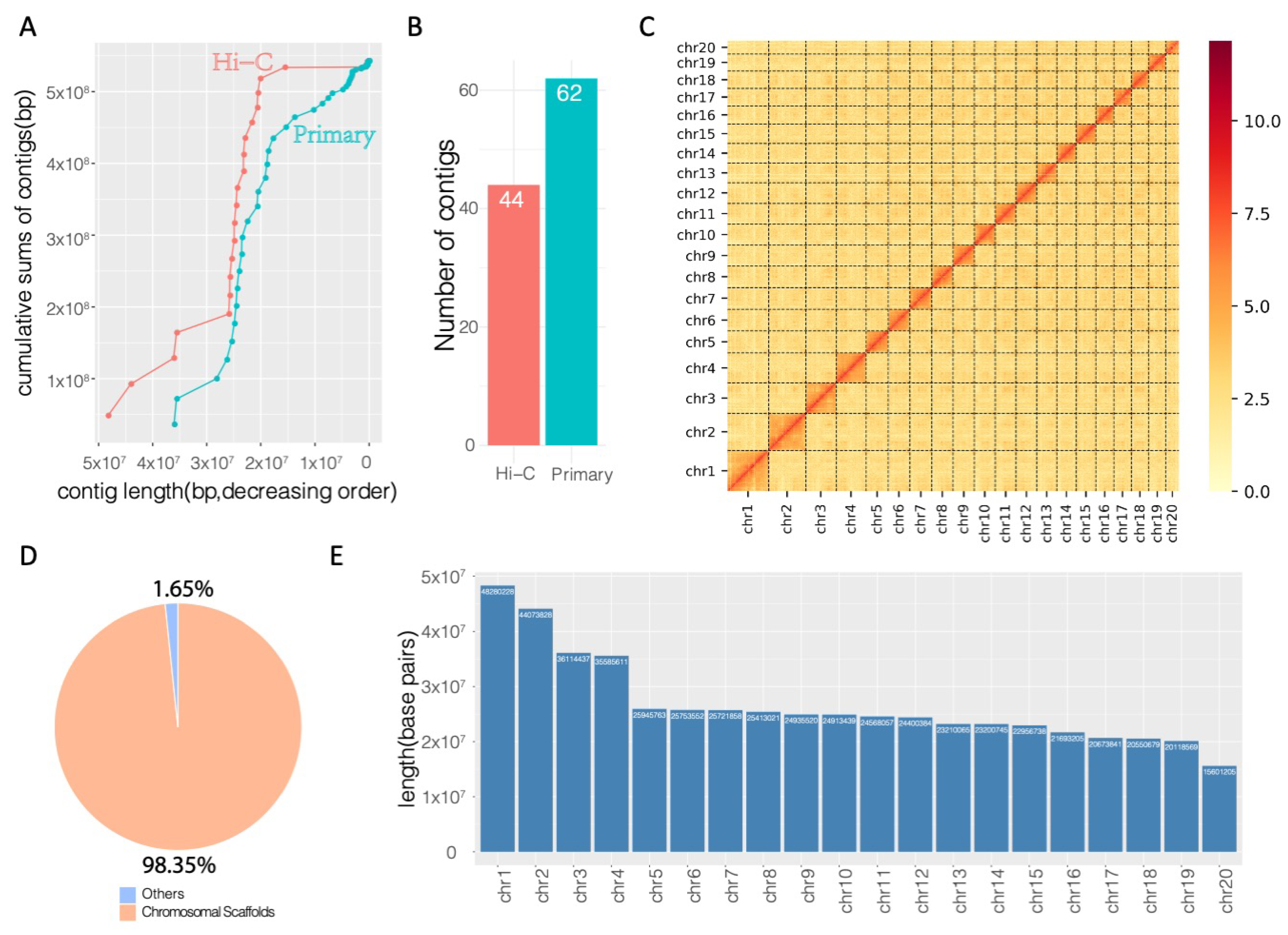 Genes 12 00692 g003 Genes 12 00692 g003