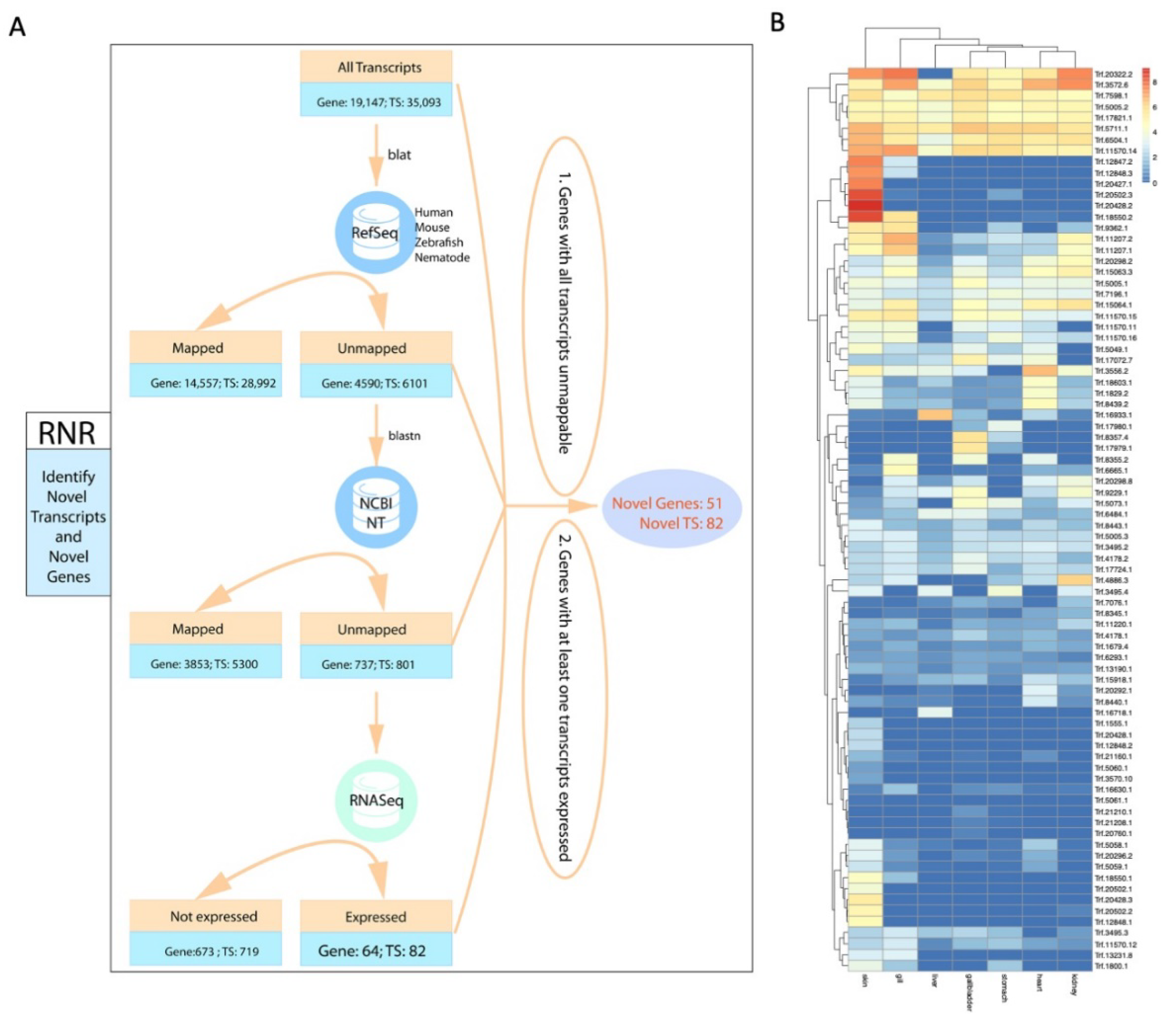 Genes 12 00692 g005 Genes 12 00692 g005