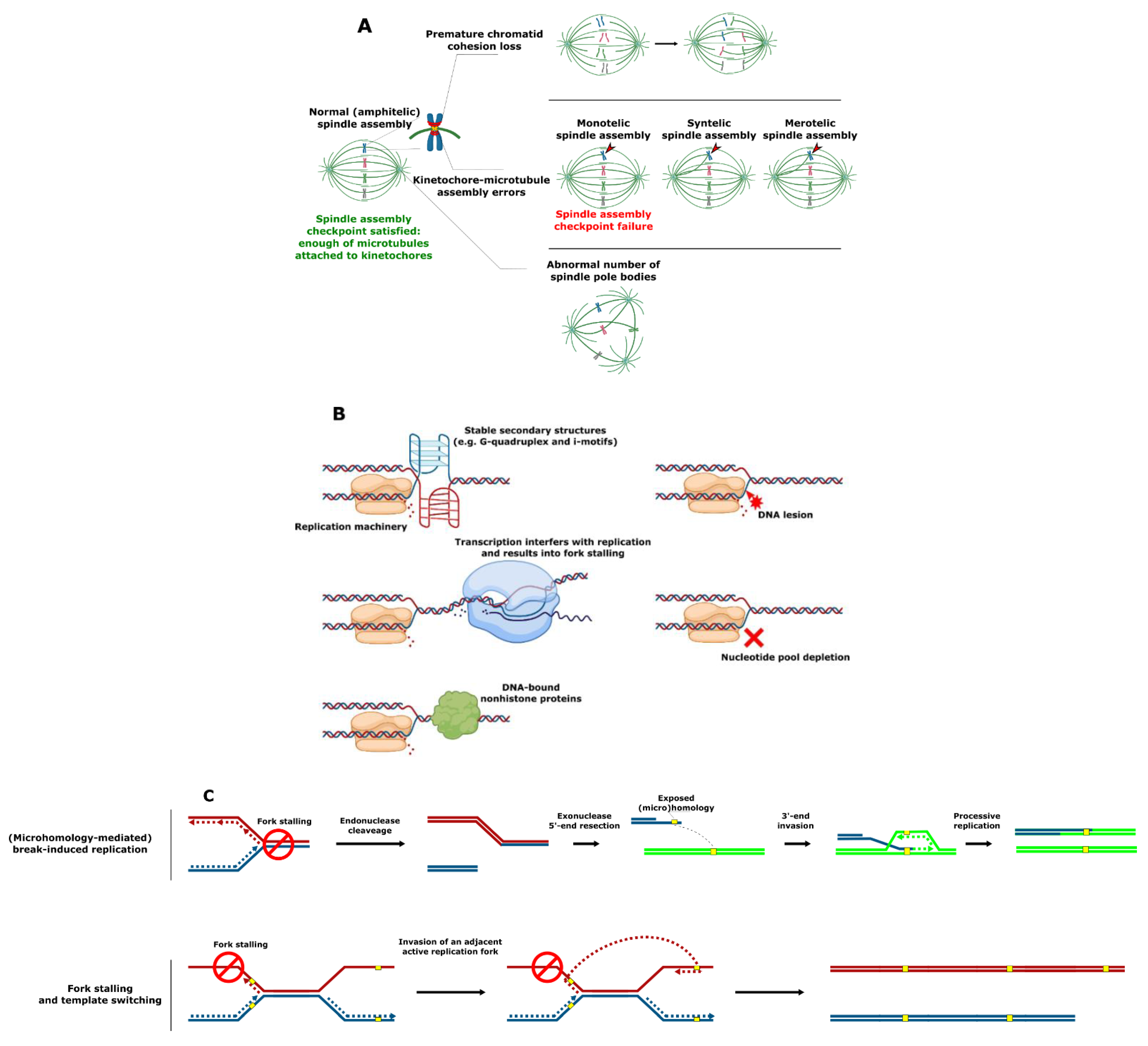Genes 12 00699 g002a Genes 12 00699 g002a