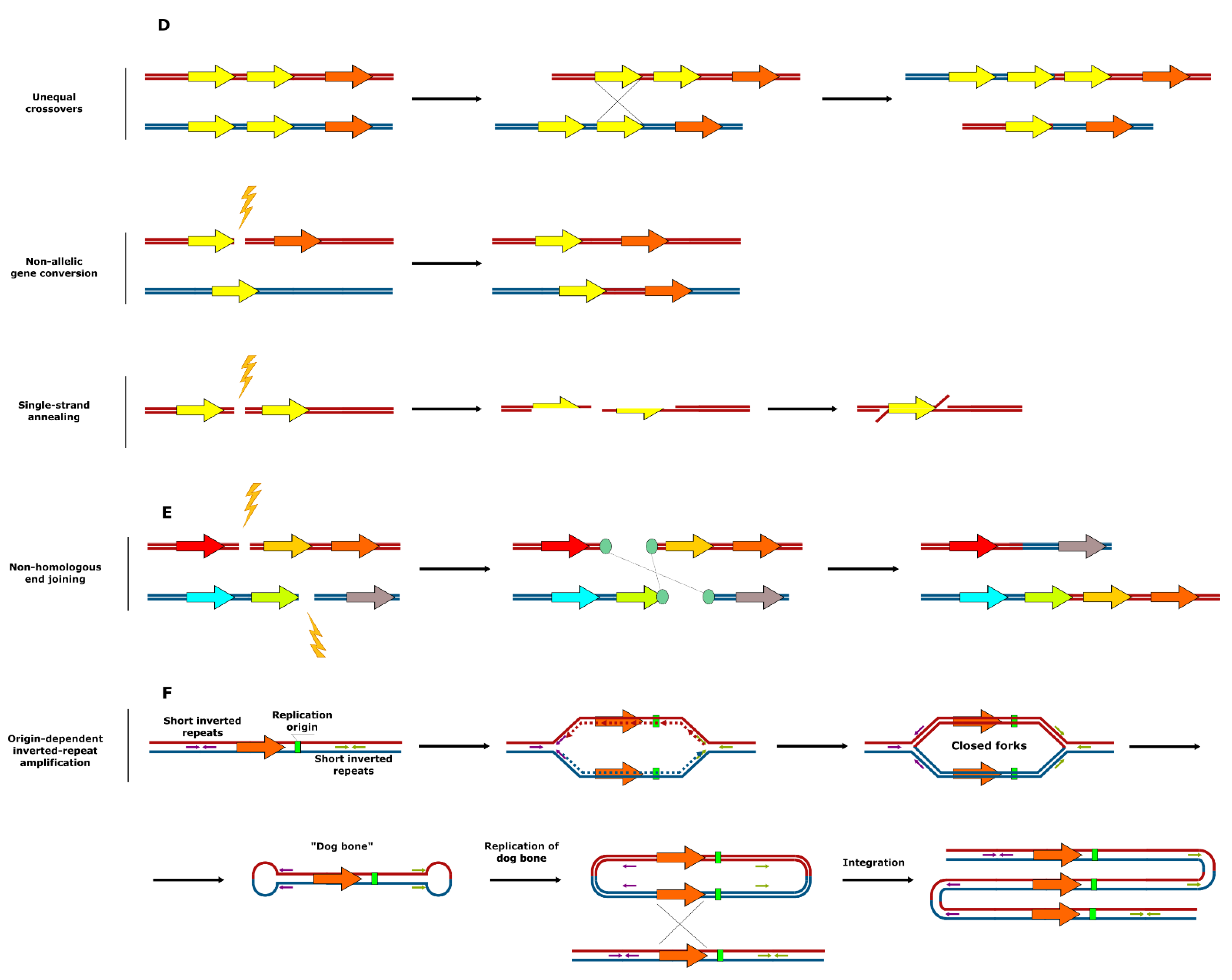 Genes 12 00699 g002b Genes 12 00699 g002b