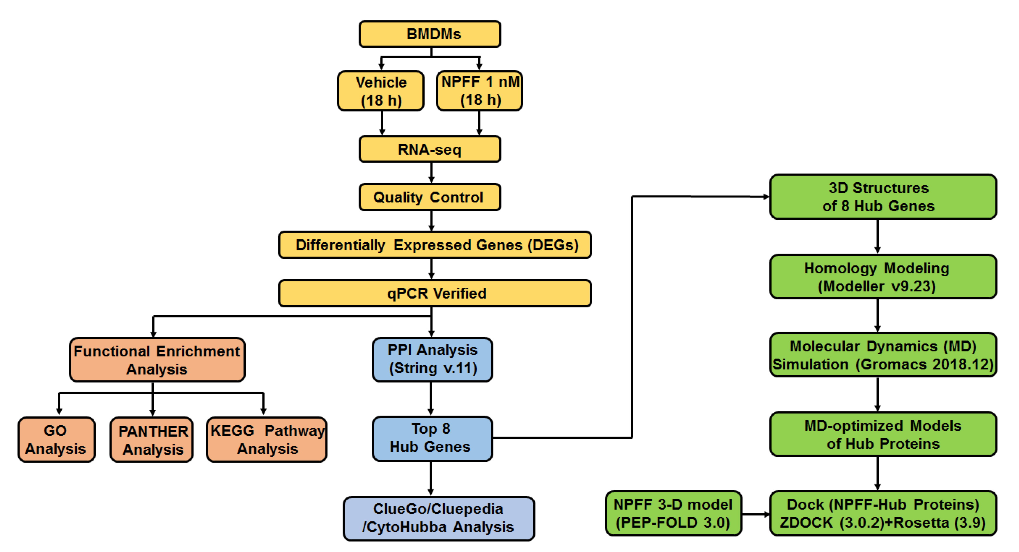 Genes 12 00705 g001 Genes 12 00705 g001