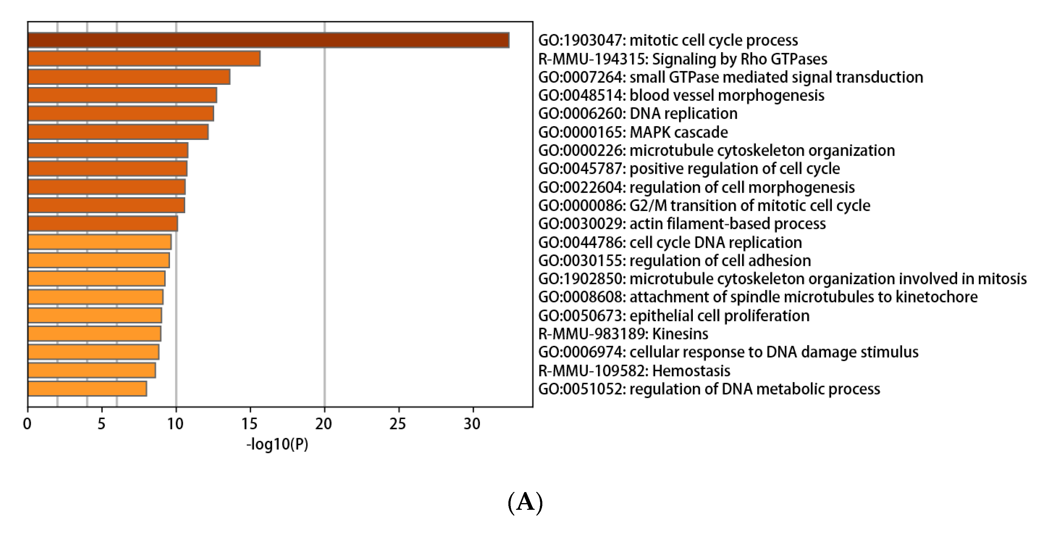 Genes 12 00705 g004a Genes 12 00705 g004a
