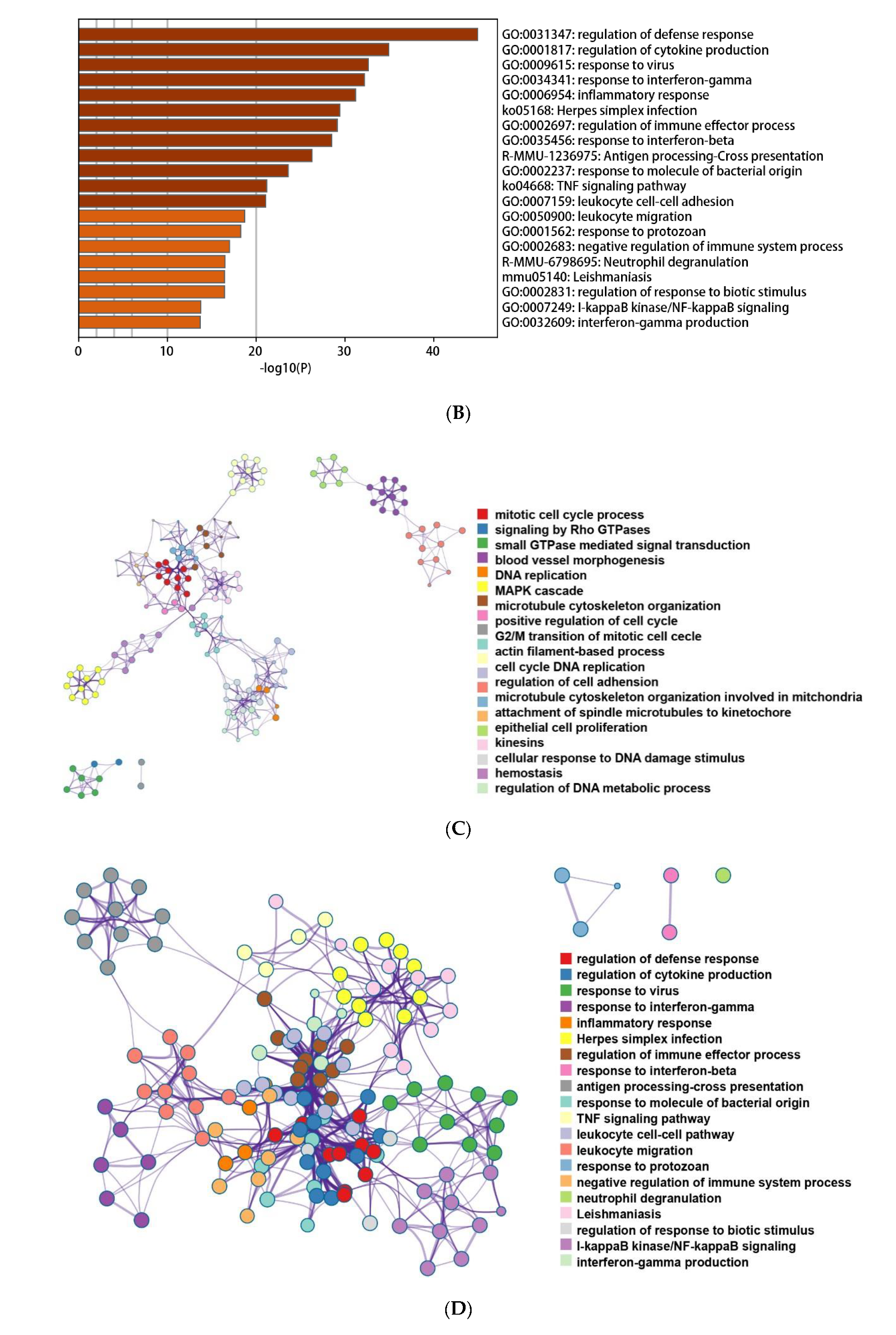 Genes 12 00705 g004b Genes 12 00705 g004b