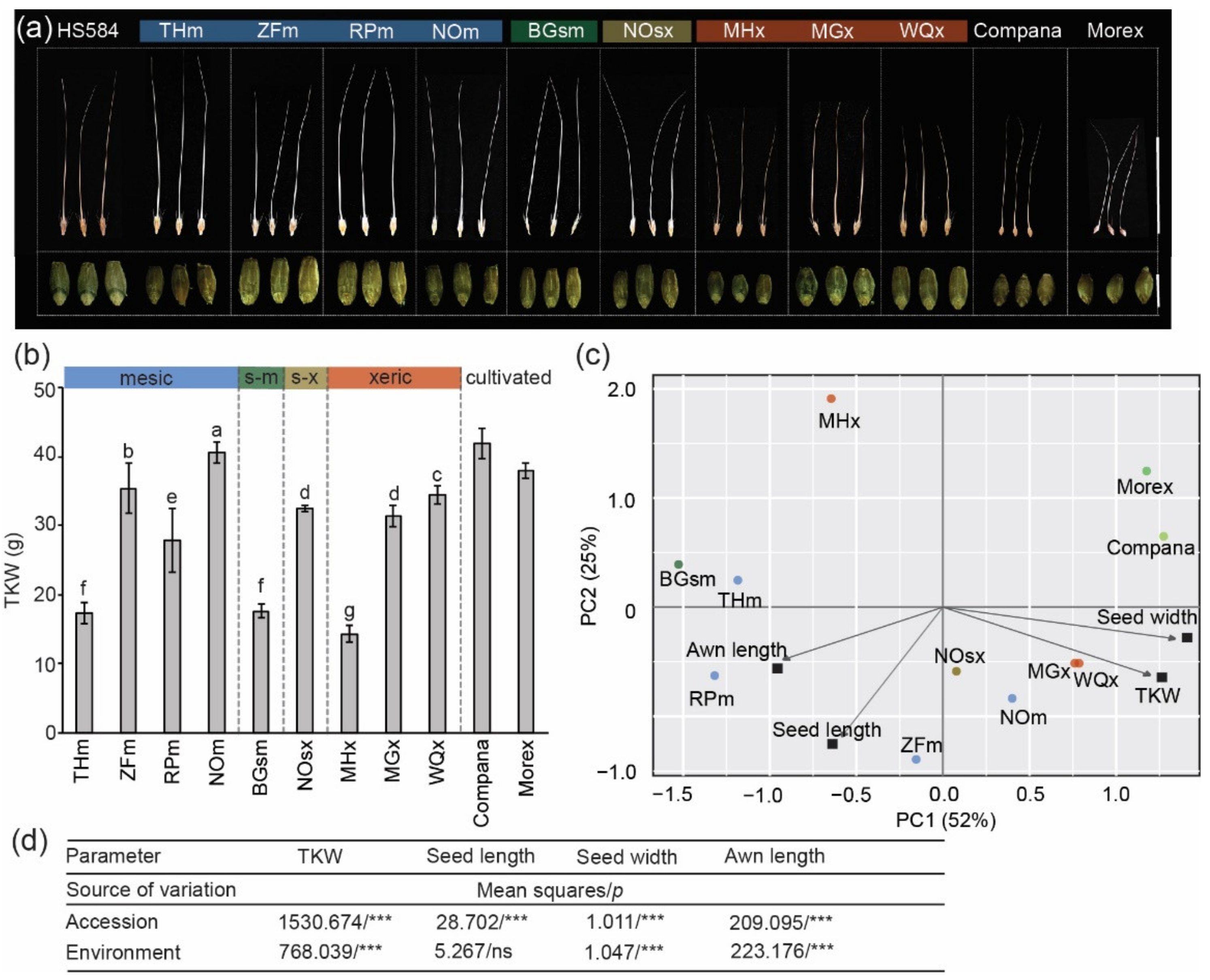 Genes 12 00711 g002
