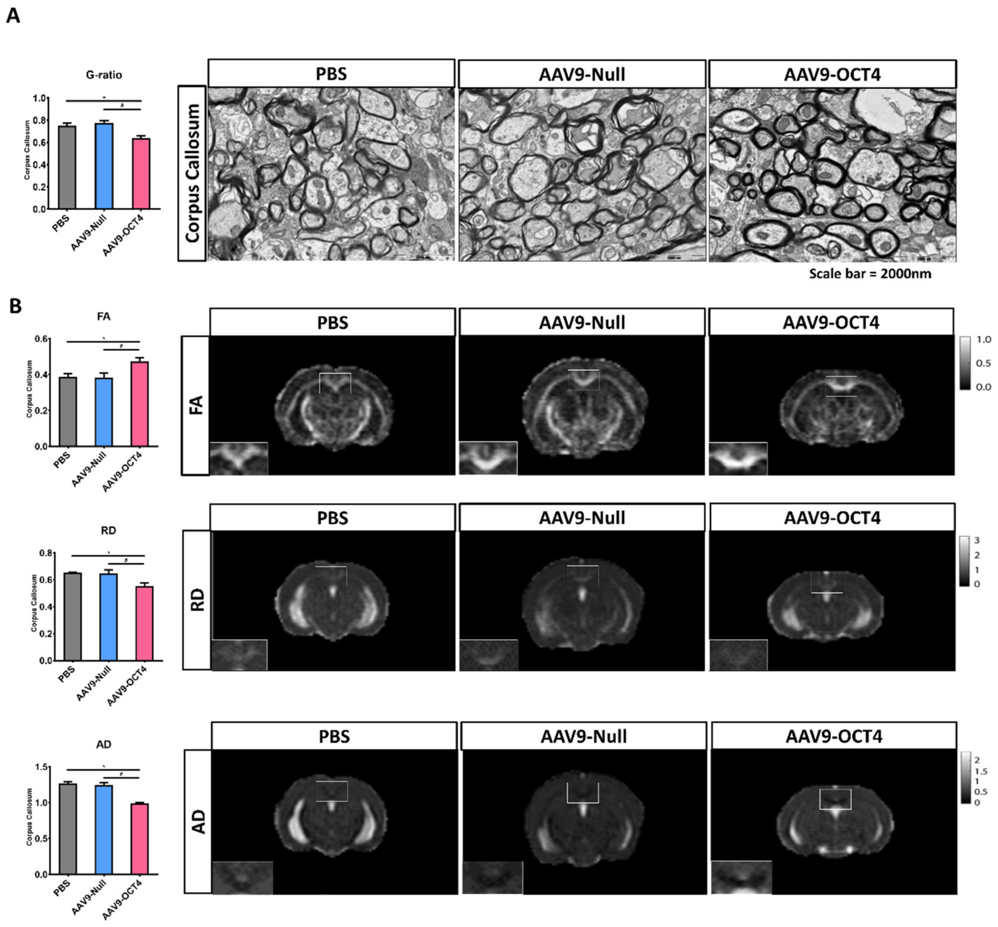 Genes 12 00712 g005 Genes 12 00712 g005