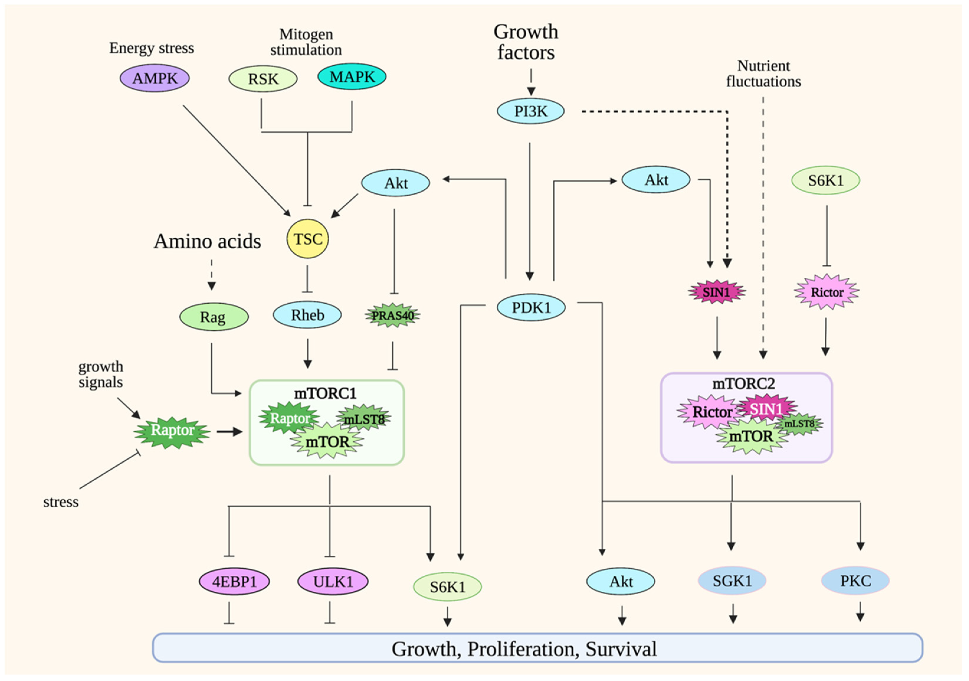 Genes 12 00728 g001