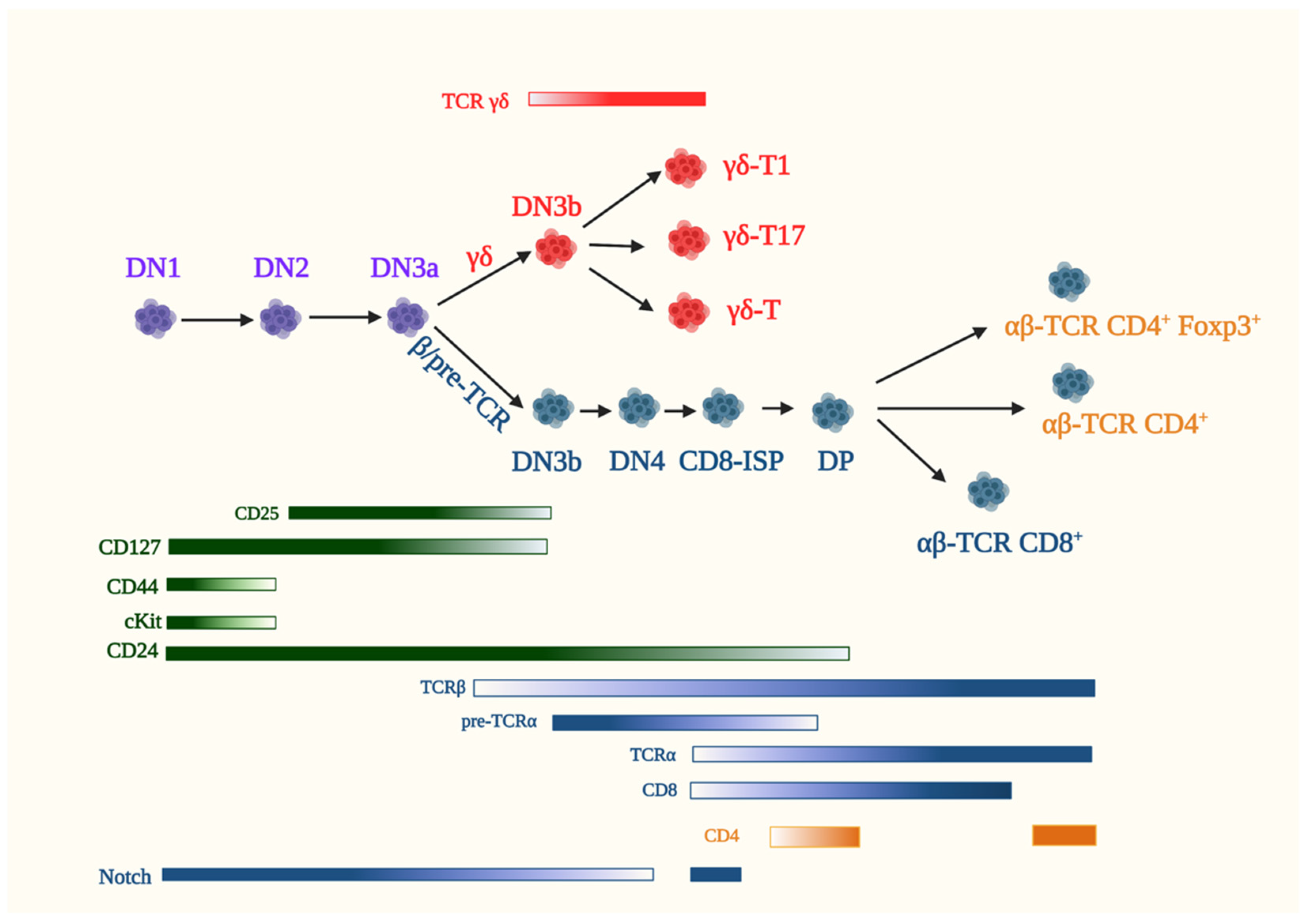 Genes 12 00728 g003