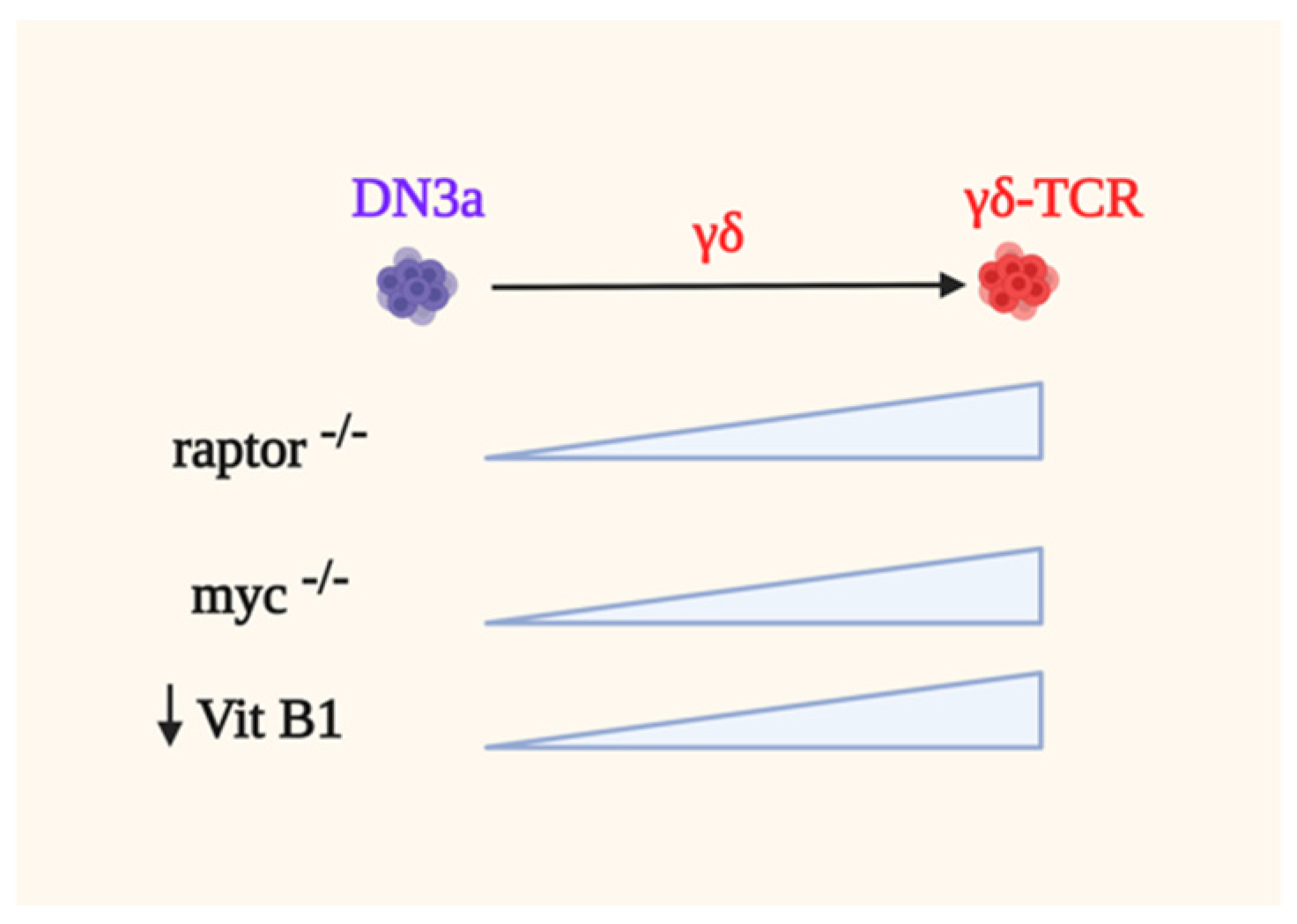Genes 12 00728 g005
