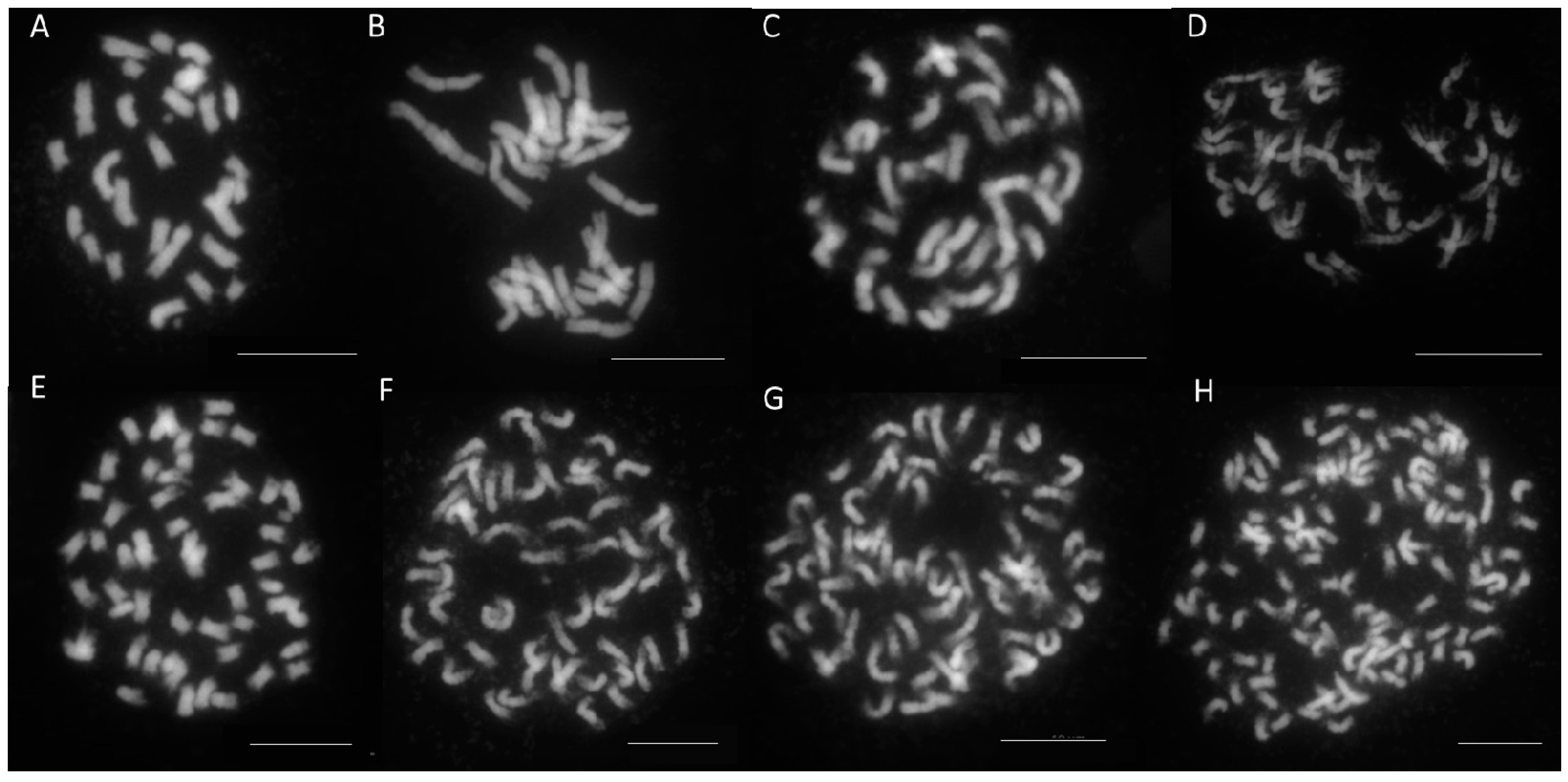 Genes 12 00730 g003 Genes 12 00730 g003