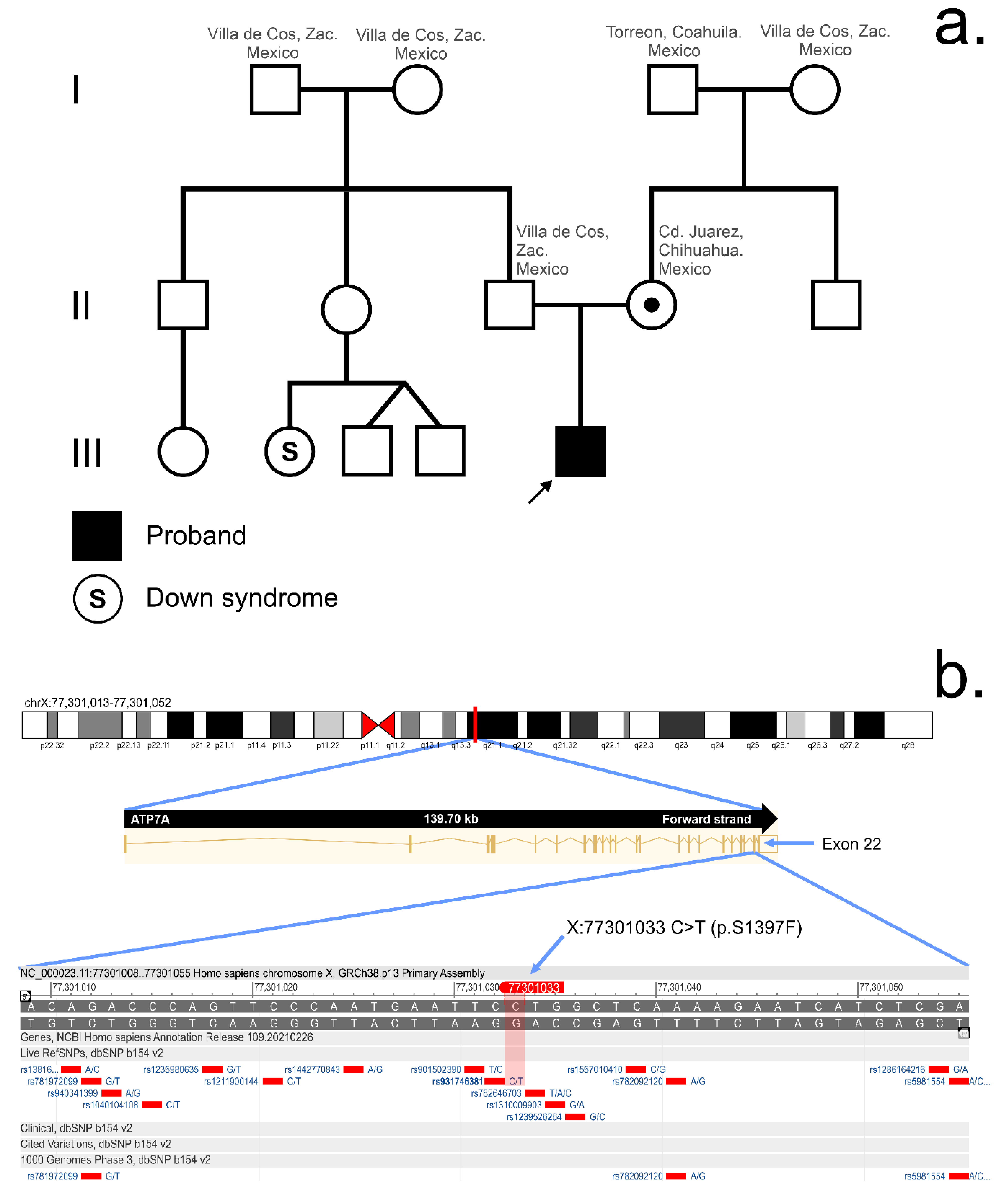 Genes 12 00744 g001