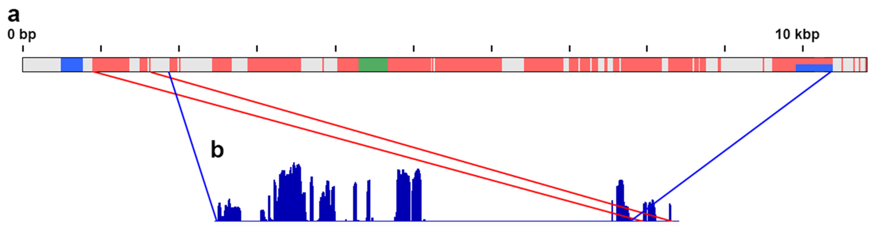 Genes 12 00779 g002