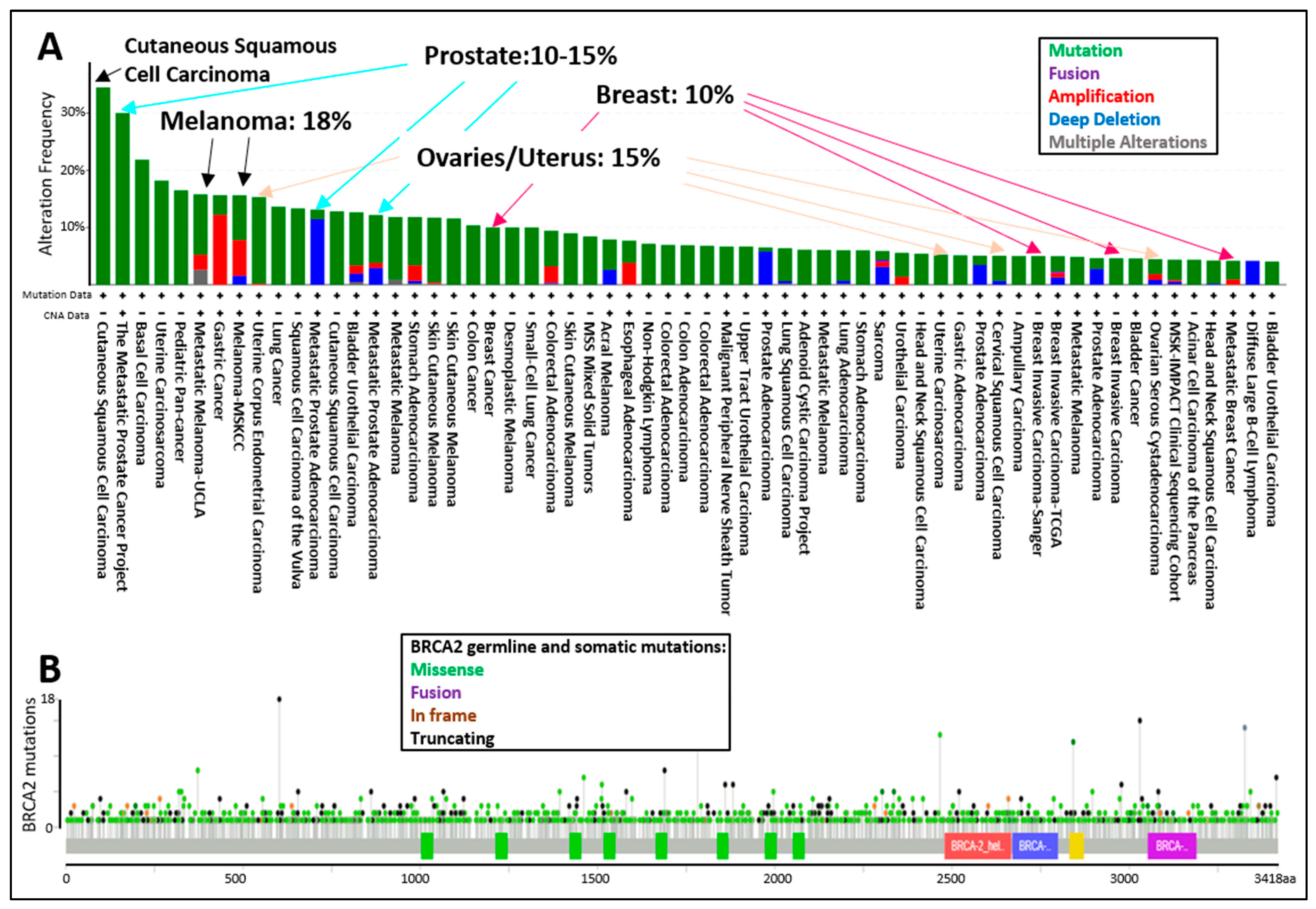 Genes 12 00780 g004 Genes 12 00780 g004