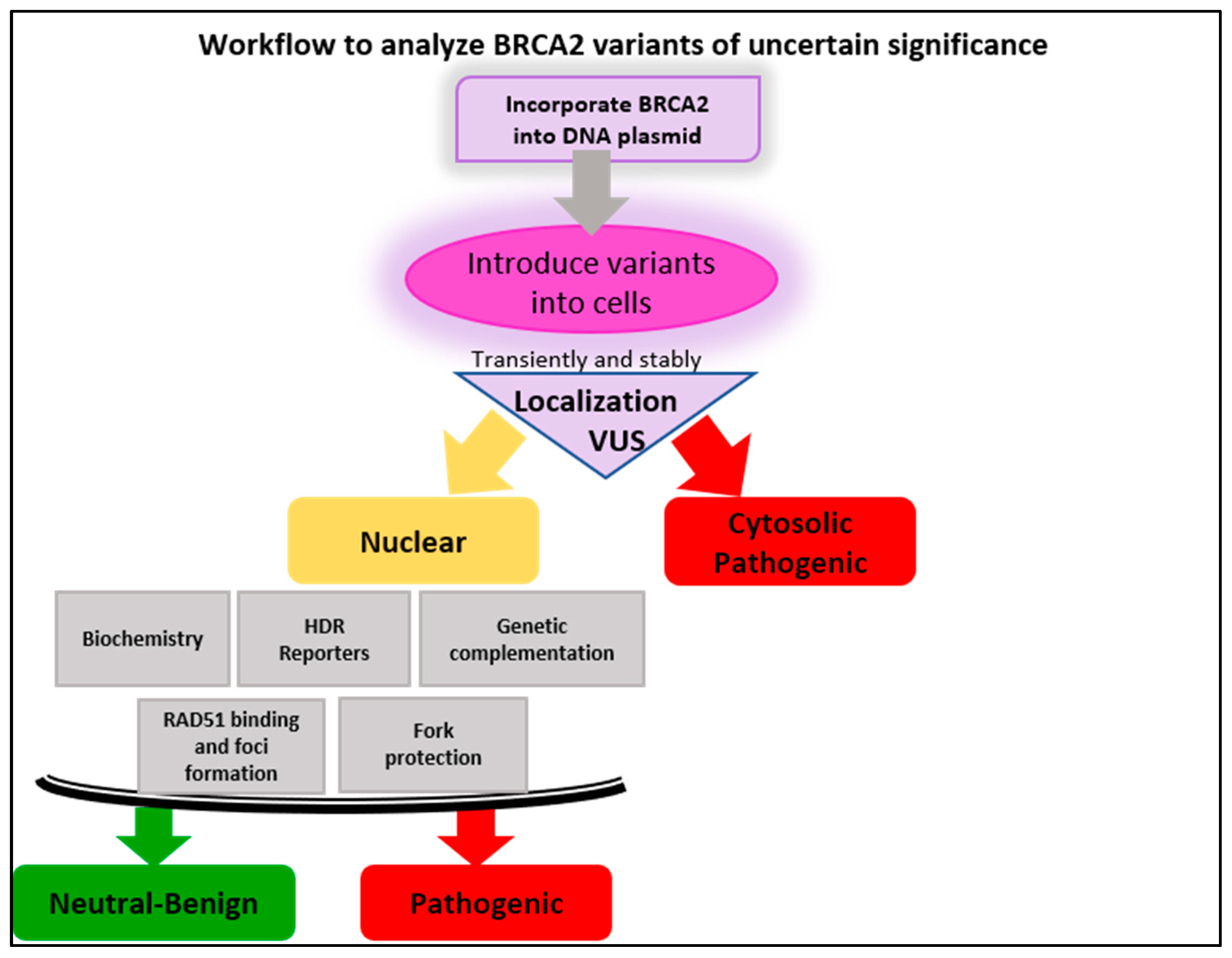 Genes 12 00780 g008 Genes 12 00780 g008