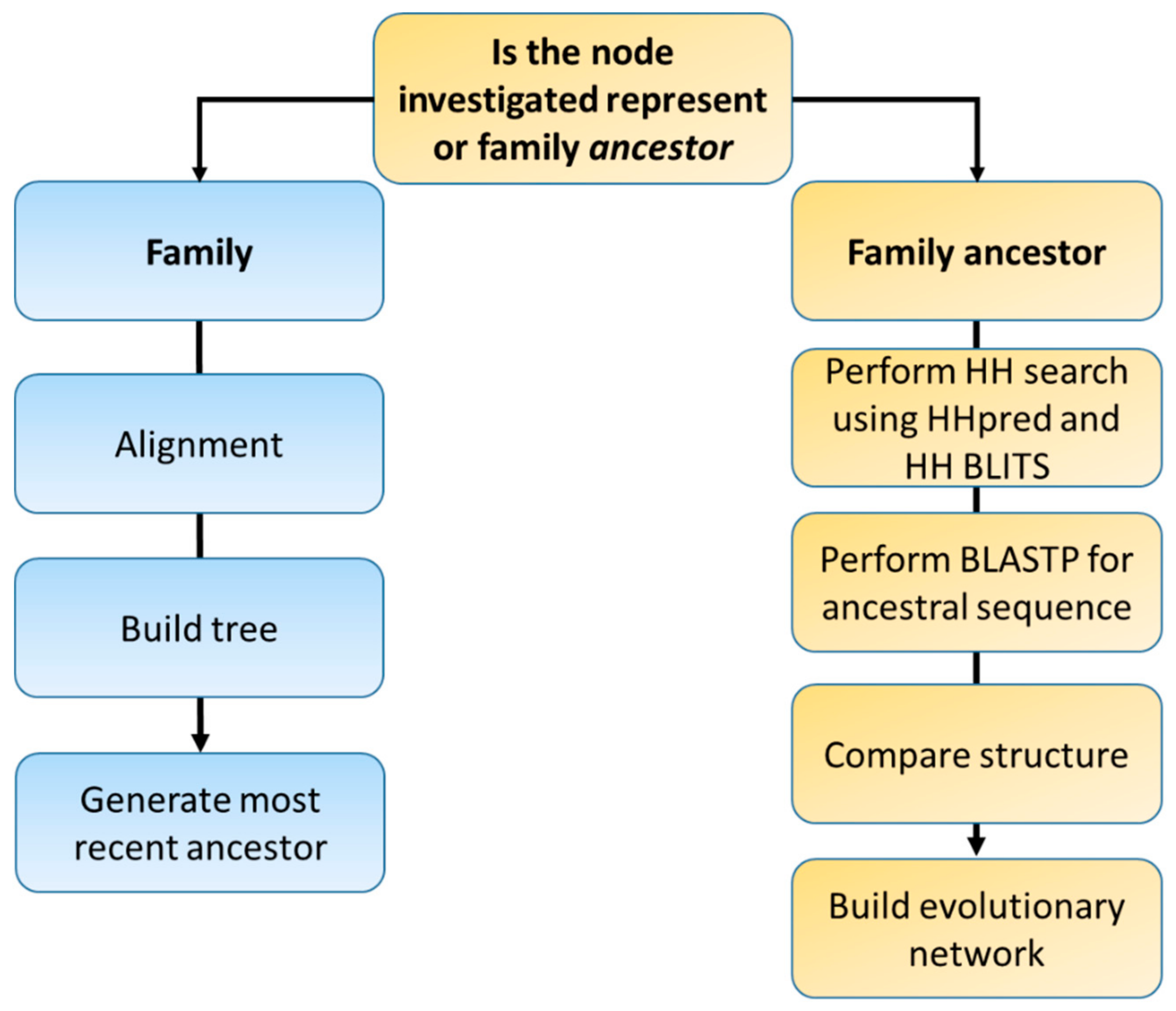 Genes 12 00813 g001