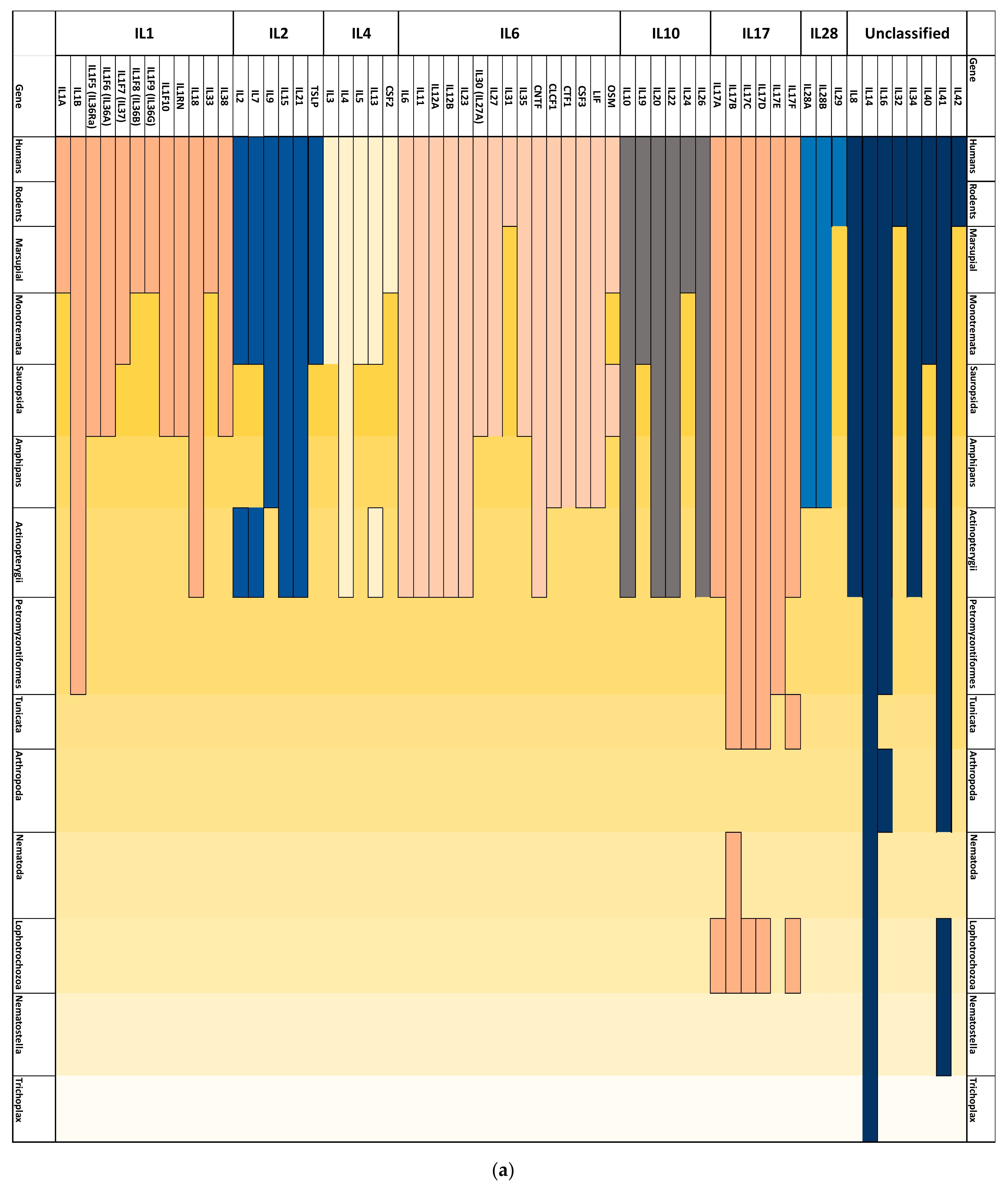 Genes 12 00813 g002a