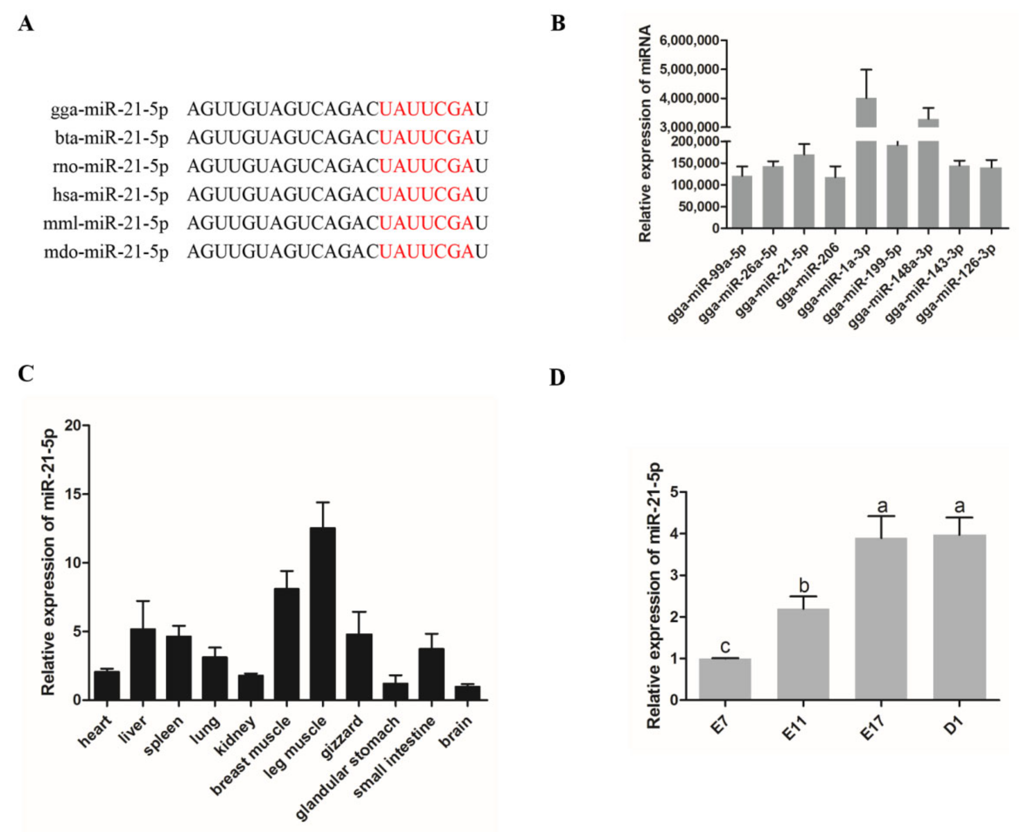 Genes 12 00814 g001