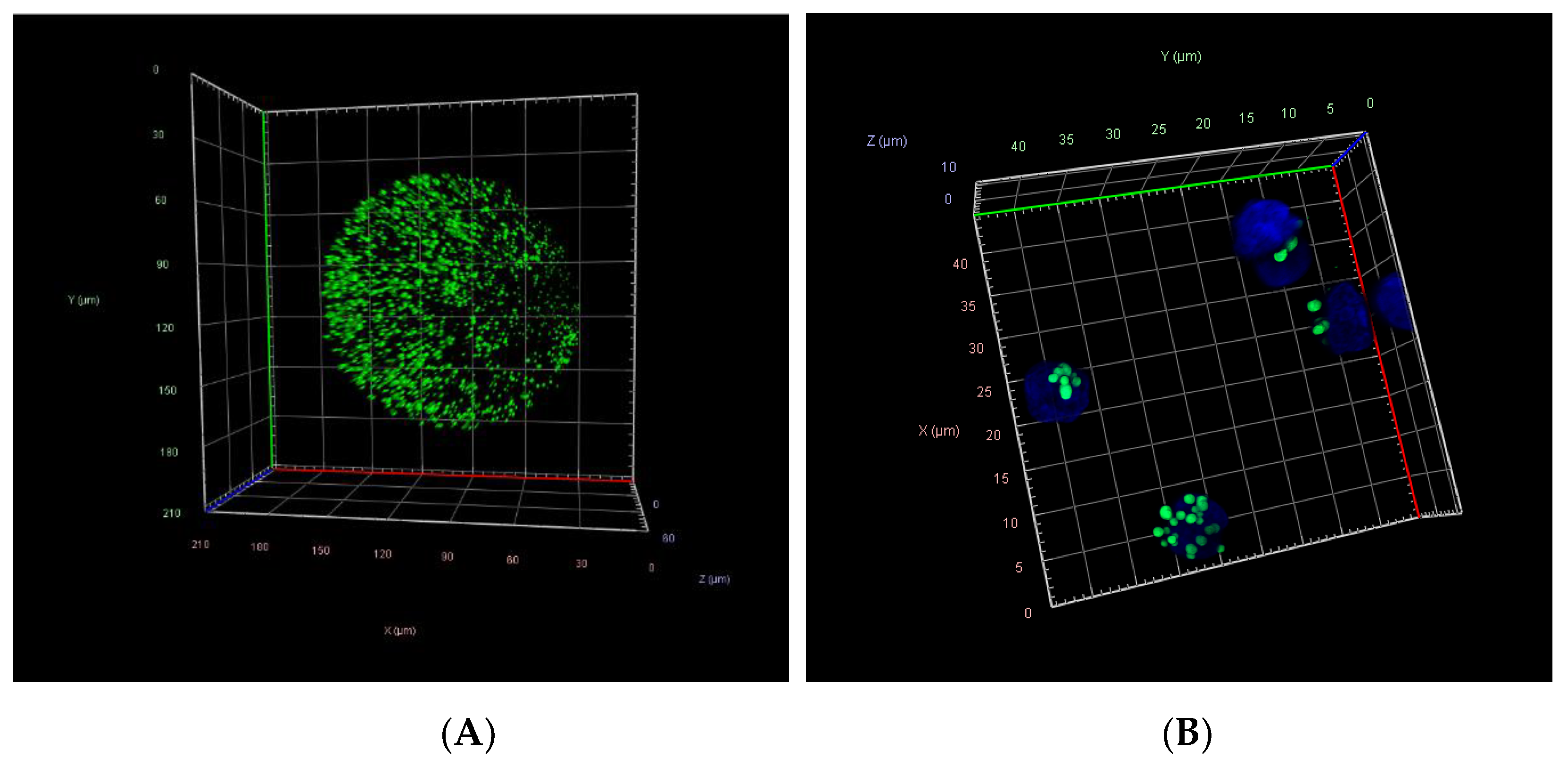 Genes 12 00838 g004 Genes 12 00838 g004