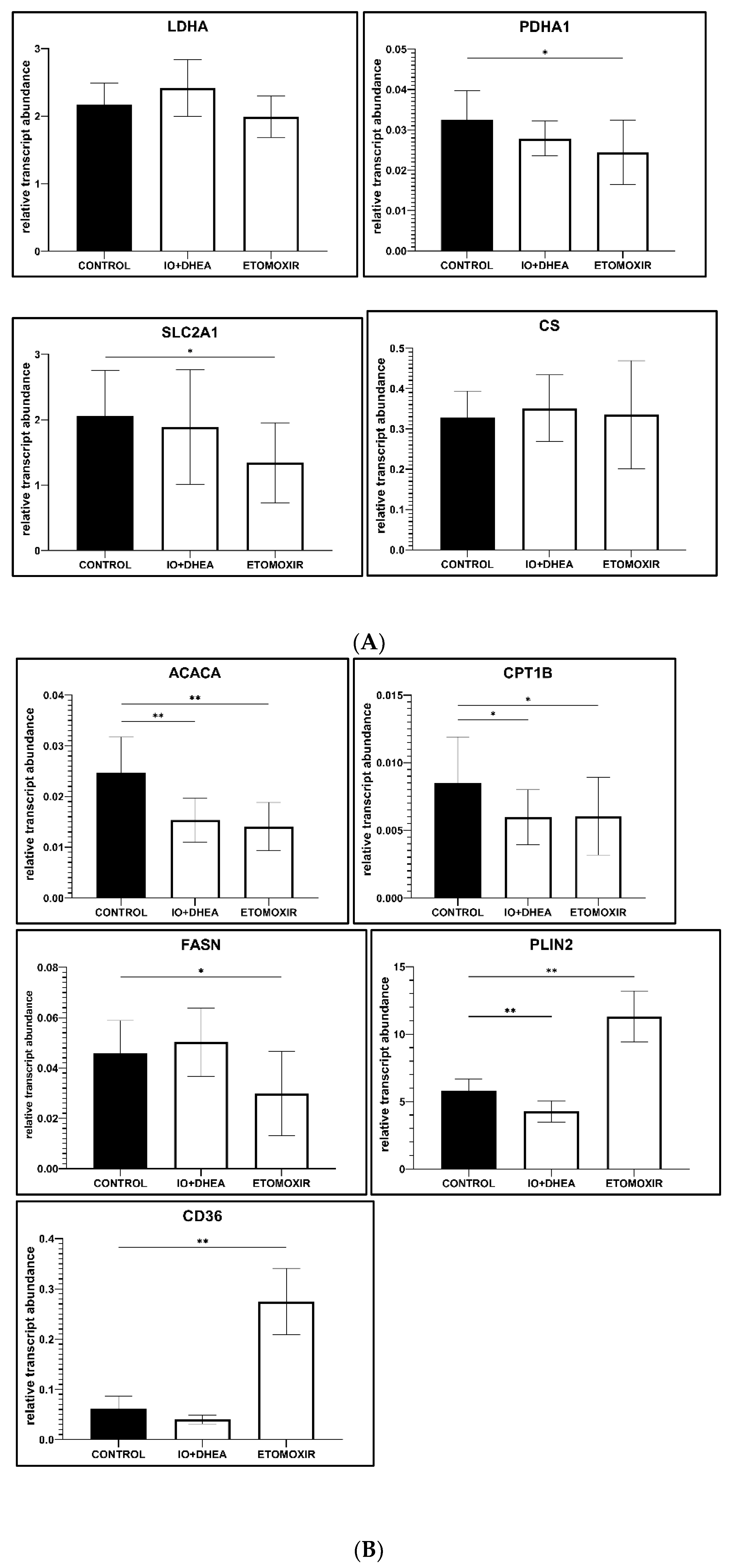 Genes 12 00838 g006b Genes 12 00838 g006b
