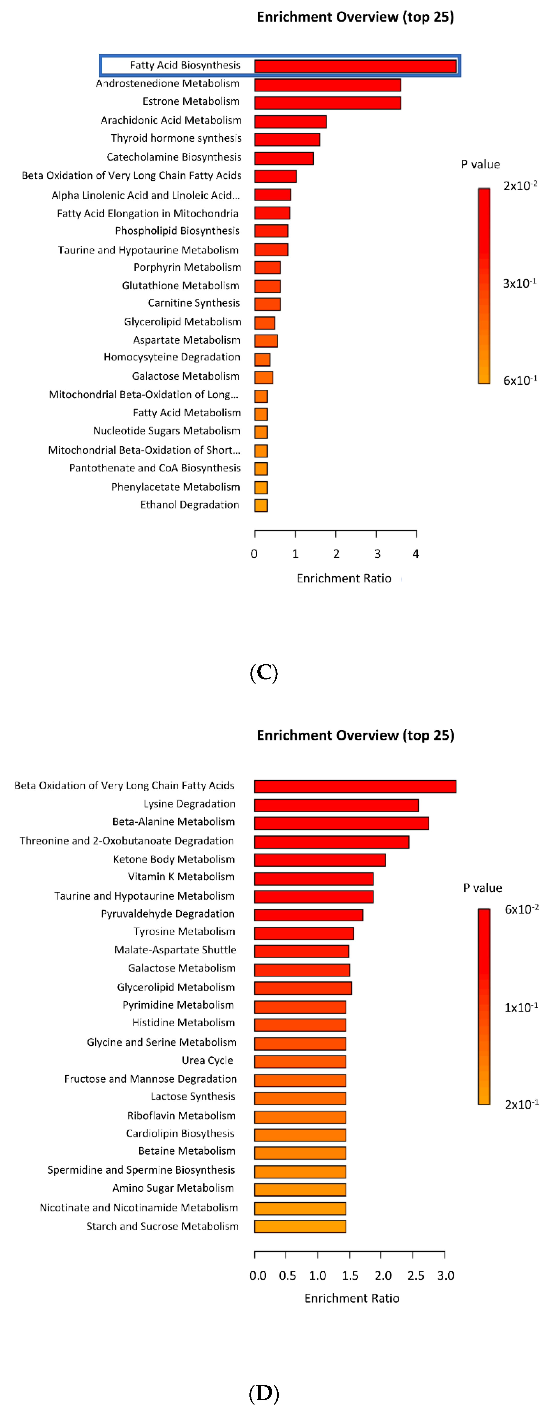 Genes 12 00838 g007b Genes 12 00838 g007b