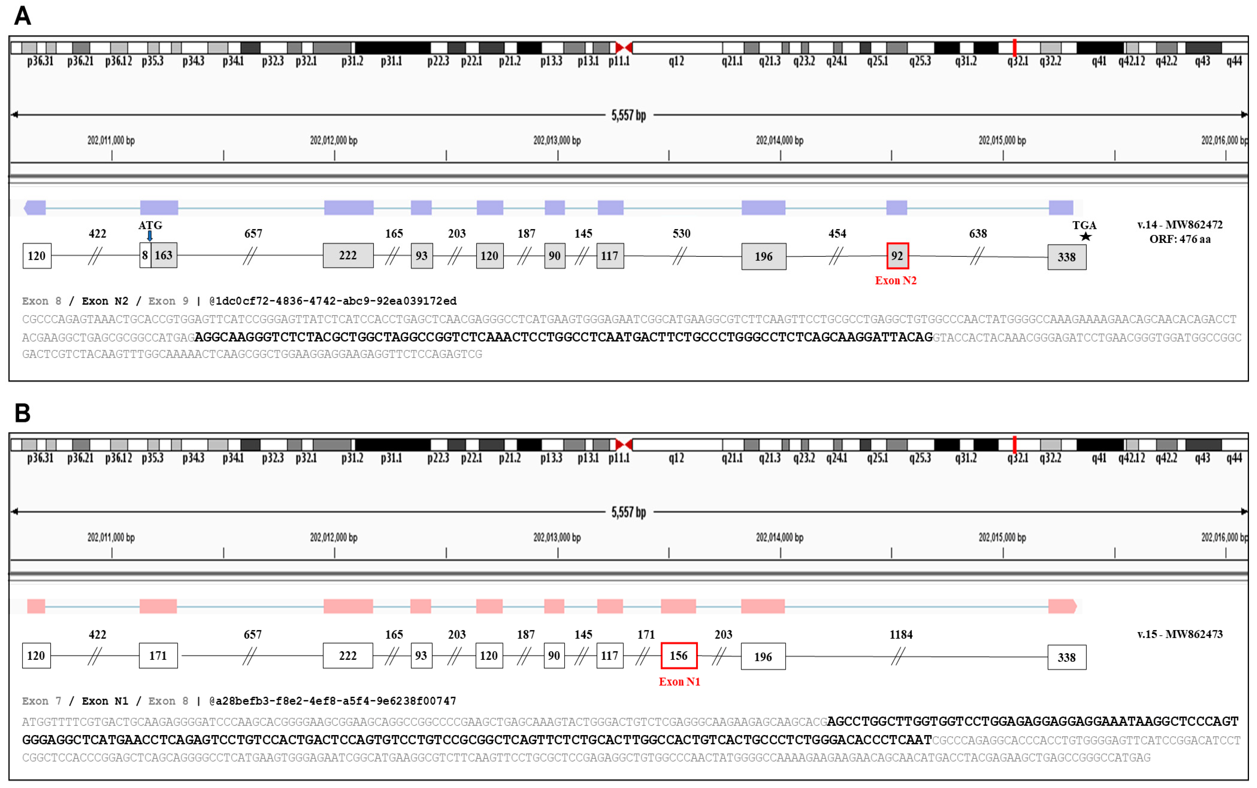 Genes 12 00839 g002