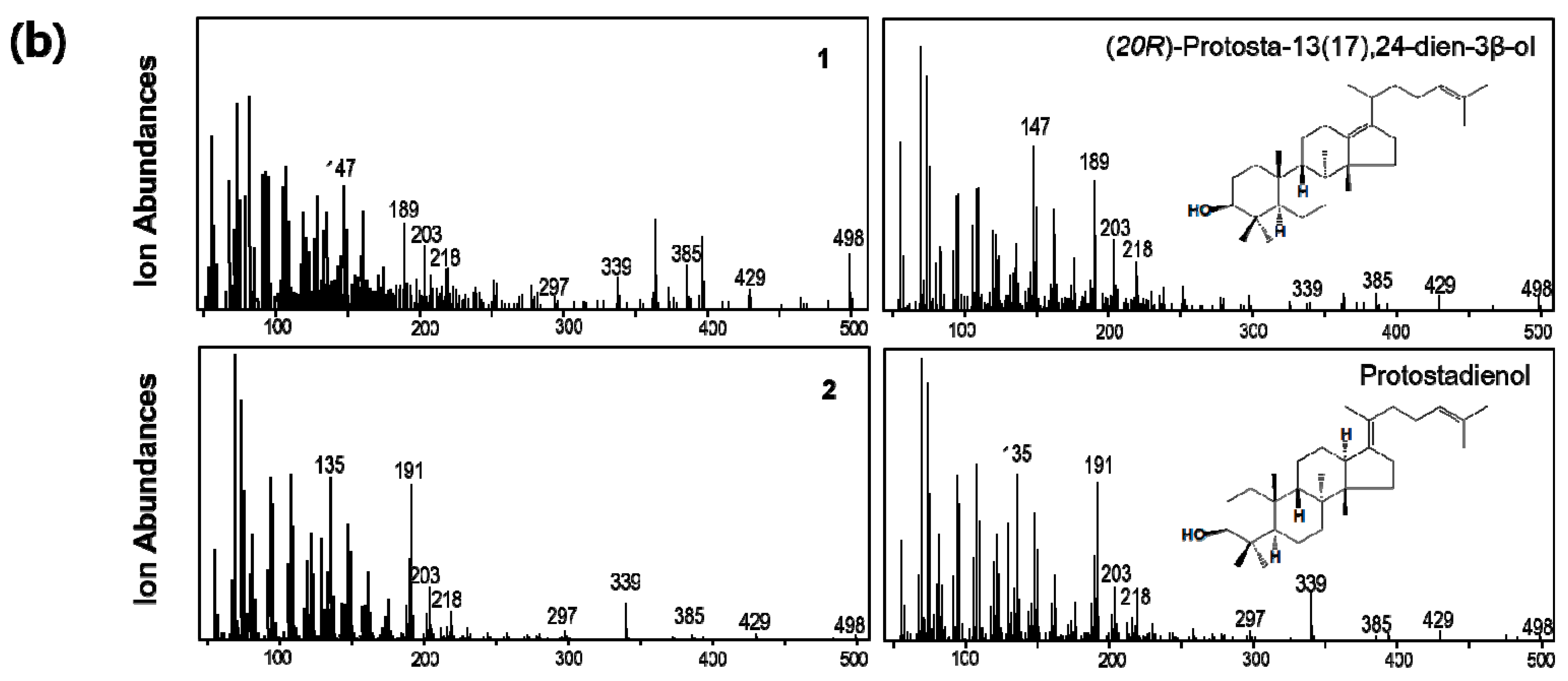 Genes 12 00848 g005b Genes 12 00848 g005b