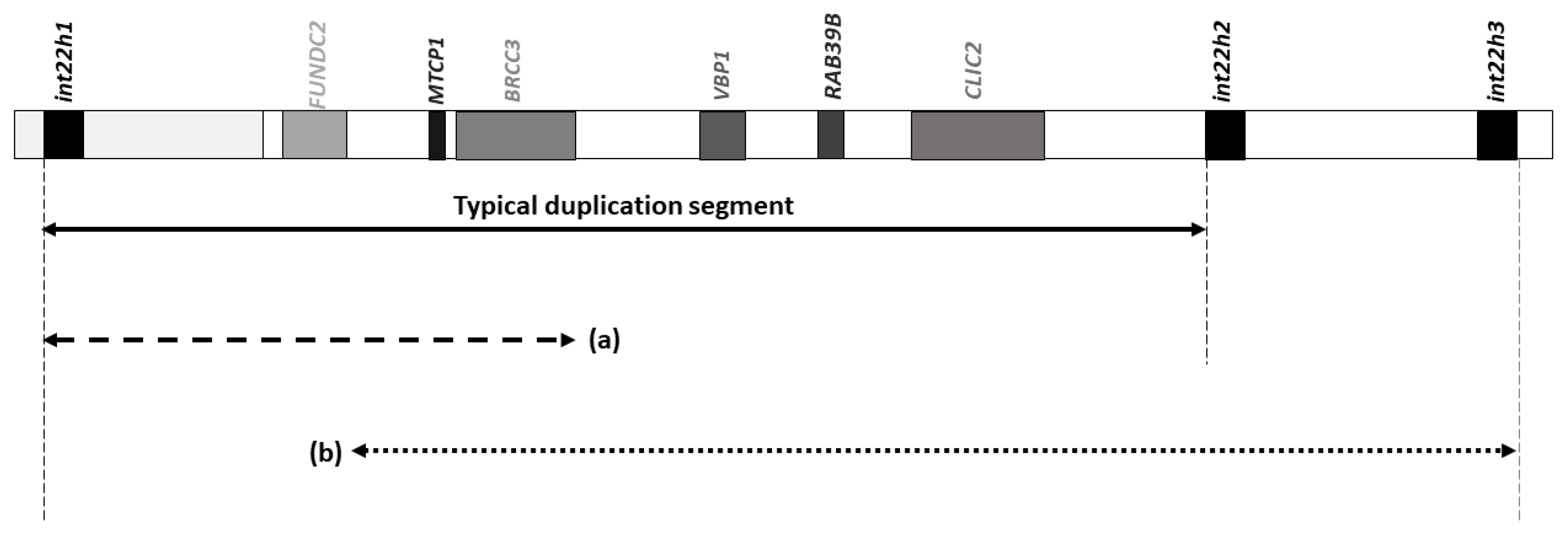 Genes 12 00860 g001