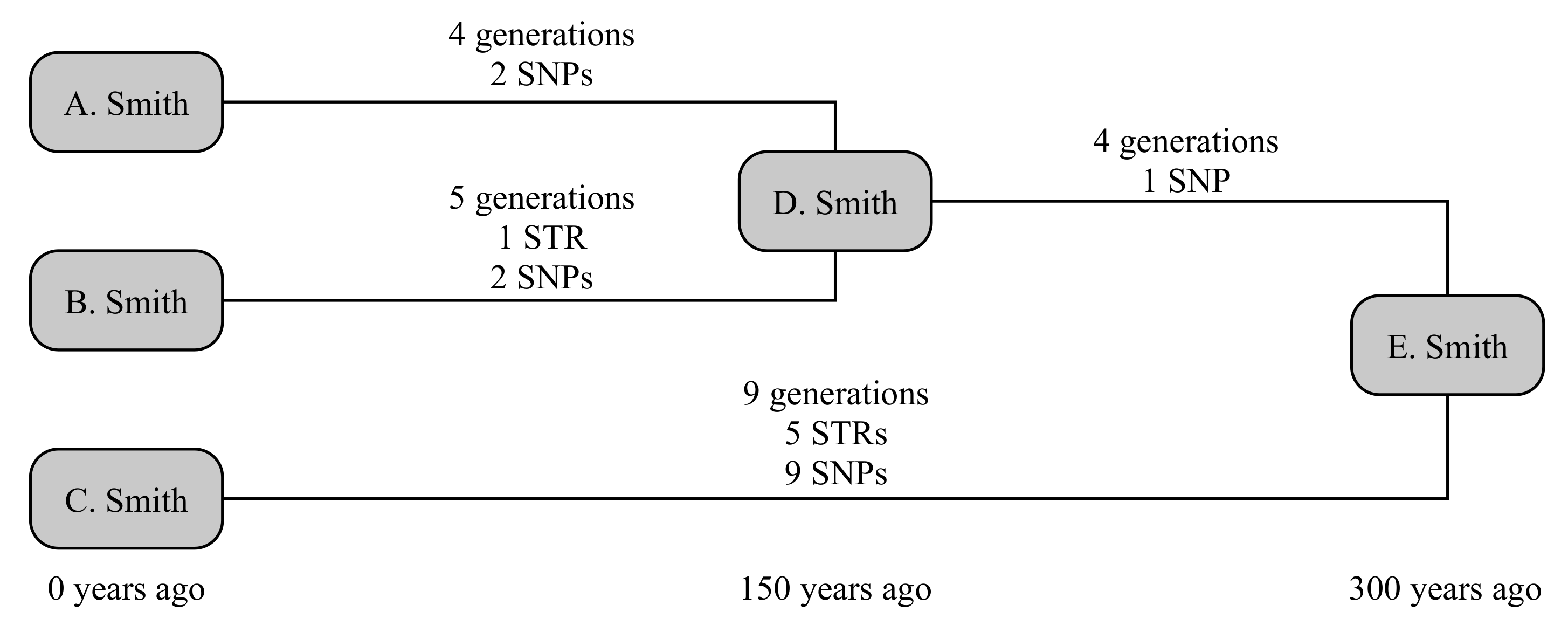 Genes 12 00862 g001 Genes 12 00862 g001