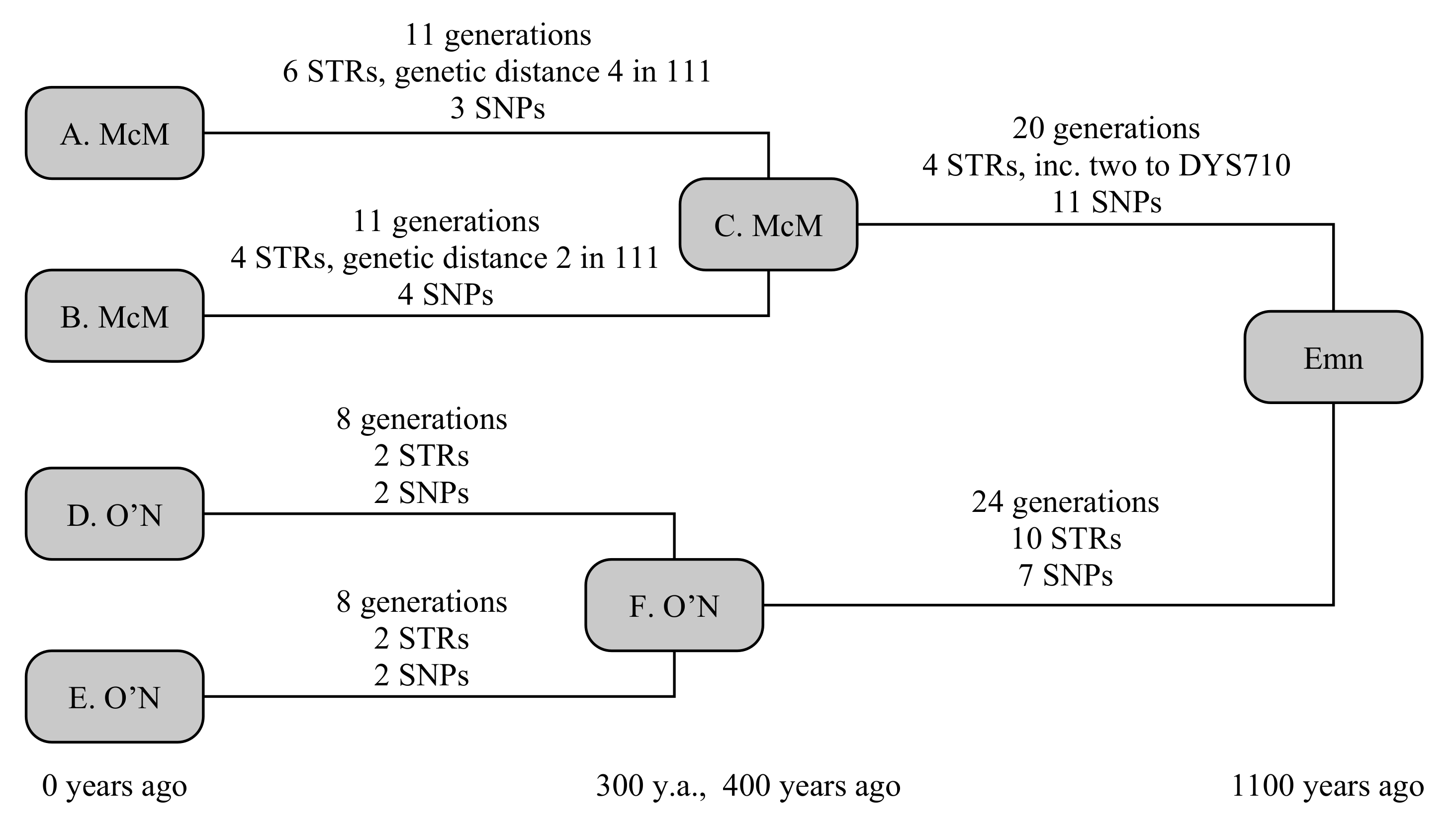Genes 12 00862 g002 Genes 12 00862 g002
