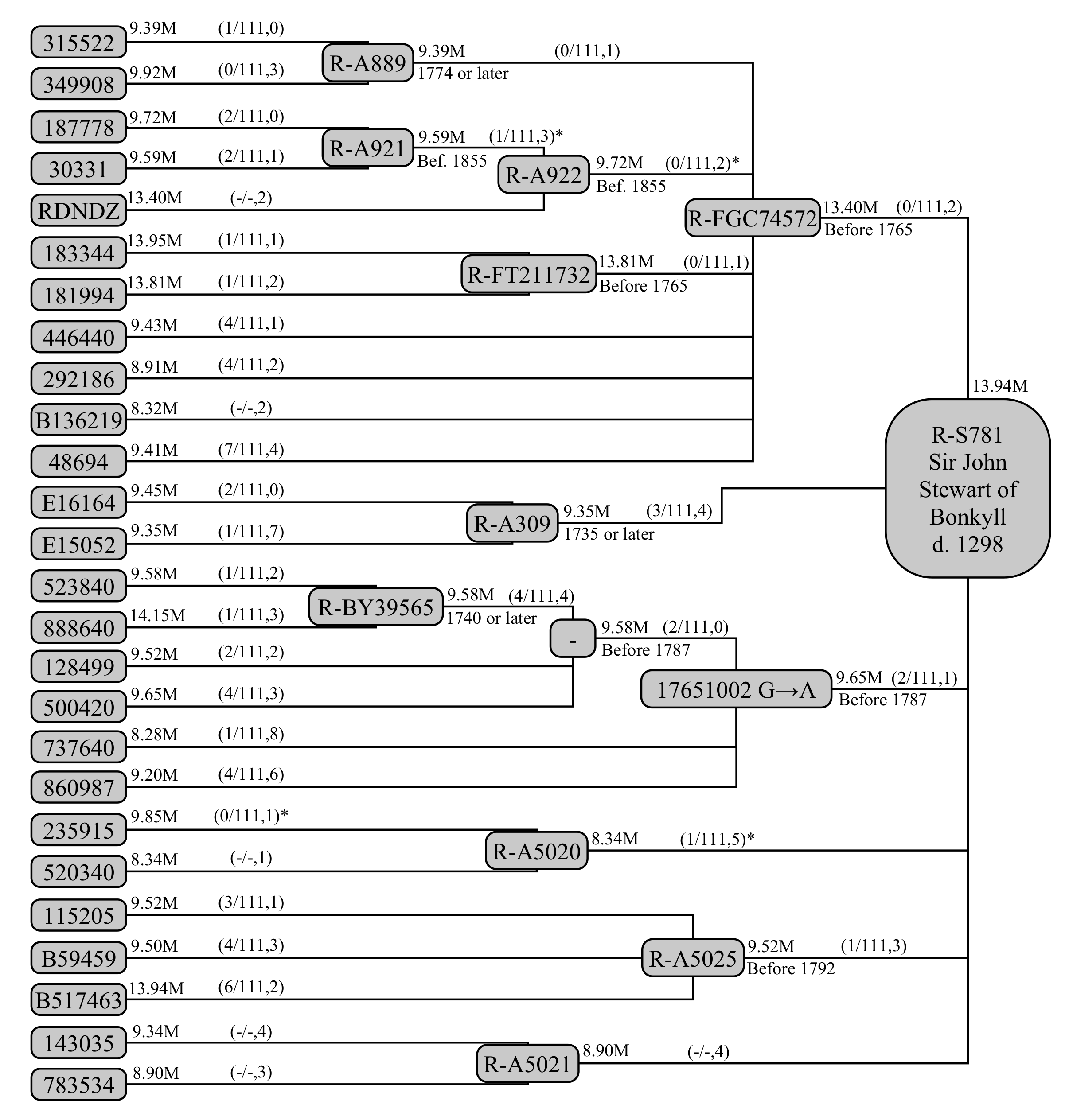 Genes 12 00862 g004 Genes 12 00862 g004